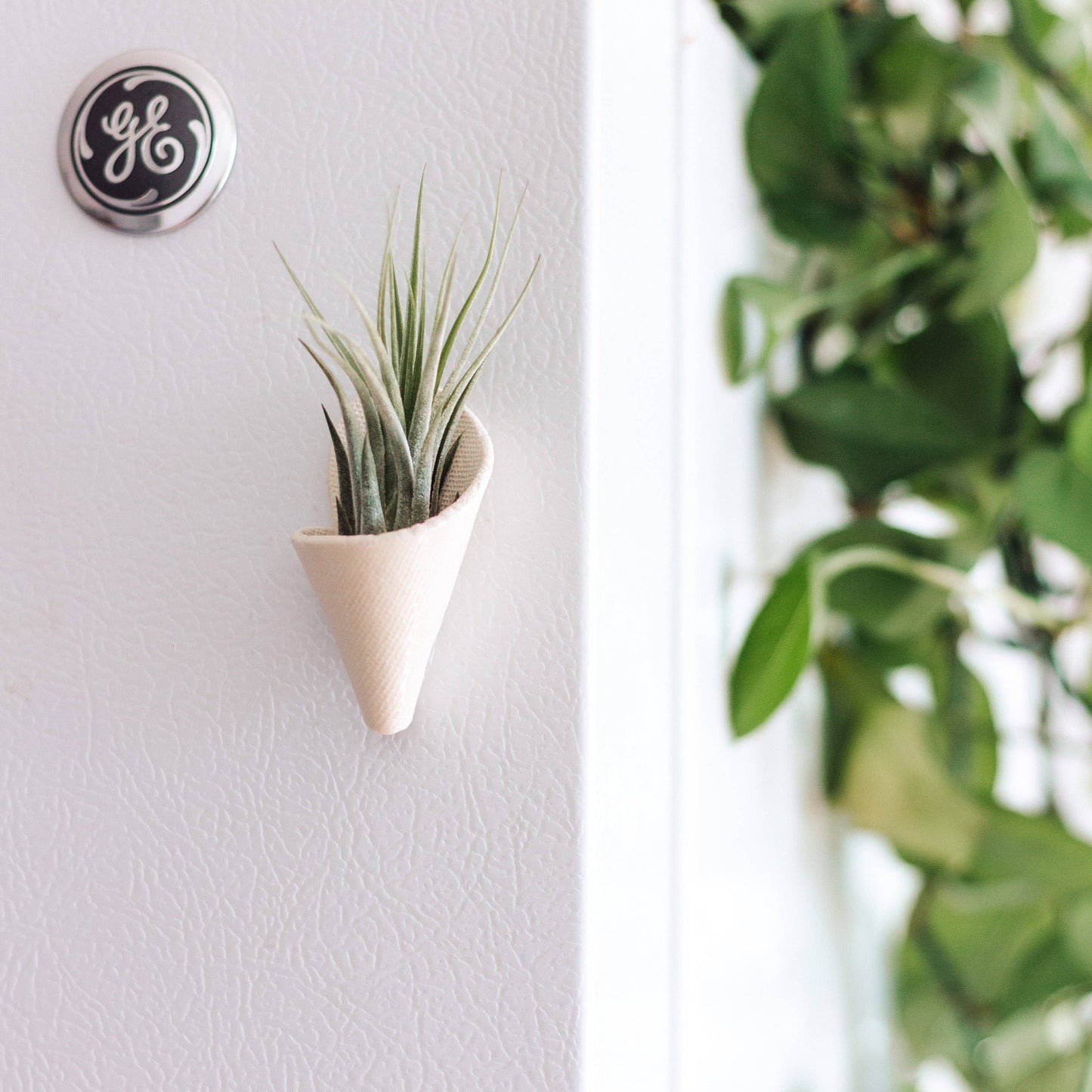 Tiny Ceramic Magnet Planter by Carter & Rose