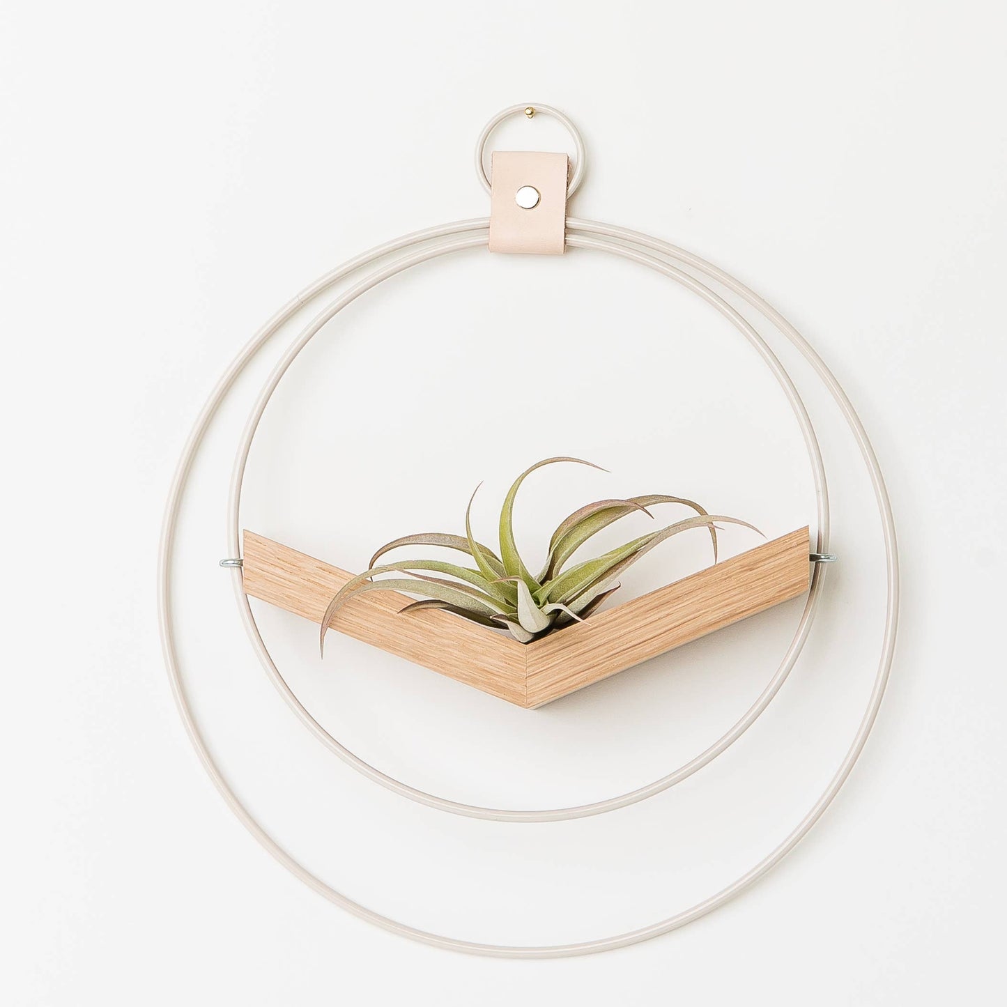 White V-Hanger Hanging Planter by Braid & Wood