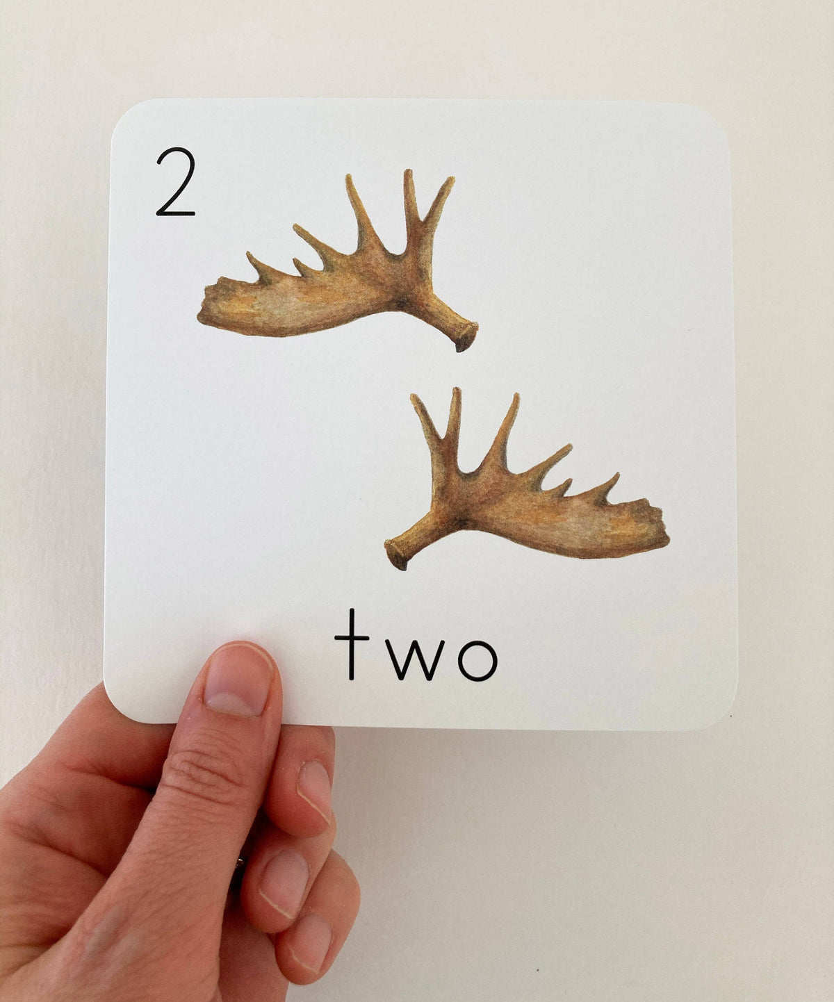 Alaska Counting Cards by Tiny Nest Studio