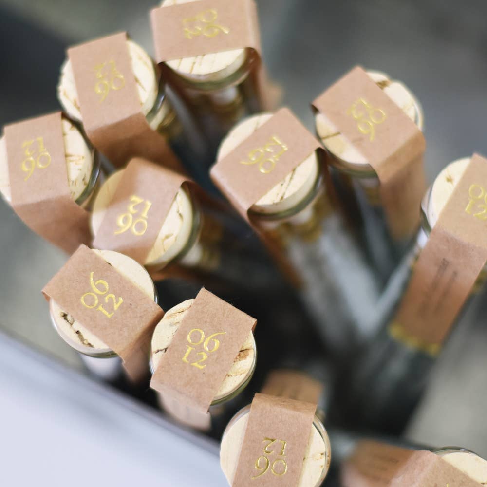 Veggie Garden Pencil Terrarium, Set of 5 Pencils by June & December