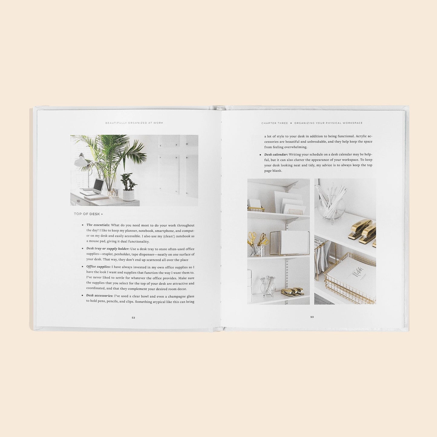 Beautifully Organized at Work: Bring Order and Joy to Your Work Life So You Can Stay Calm, Relieve Stress, and Get More Done Each Day