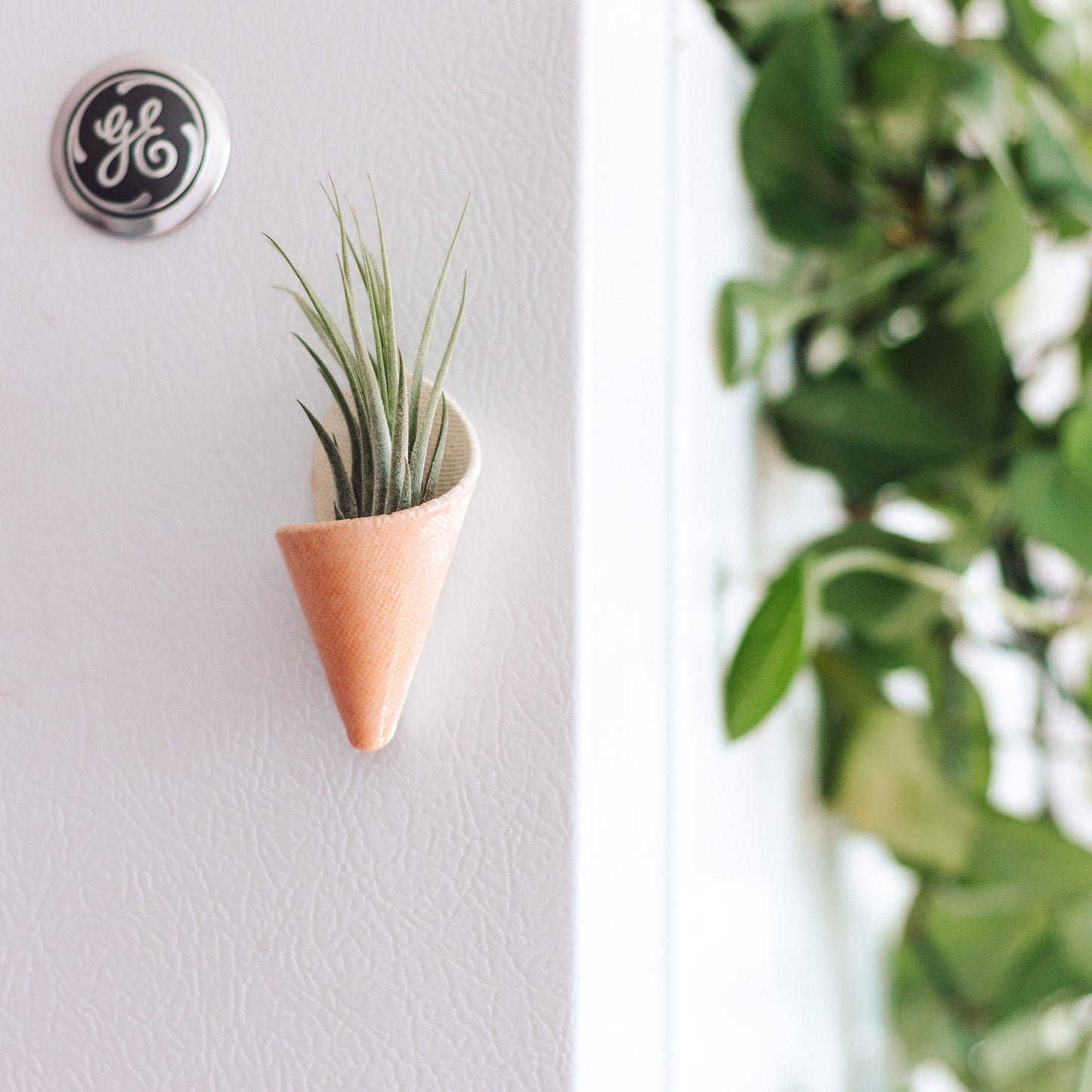 Tiny Ceramic Magnet Planter by Carter & Rose