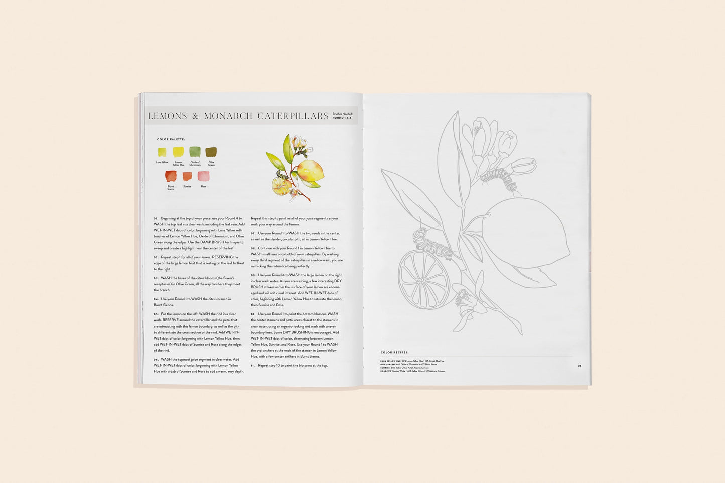 Watercolor Workbook: Flowers, Feathers, and Animal Friends