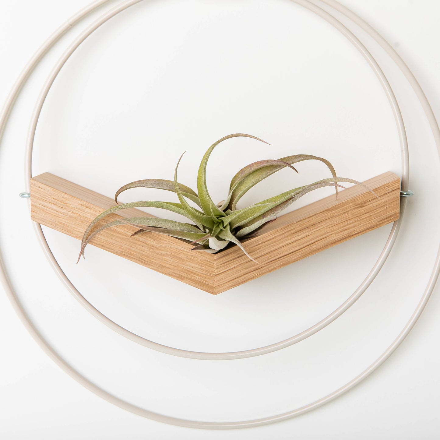 White V-Hanger Hanging Planter by Braid & Wood
