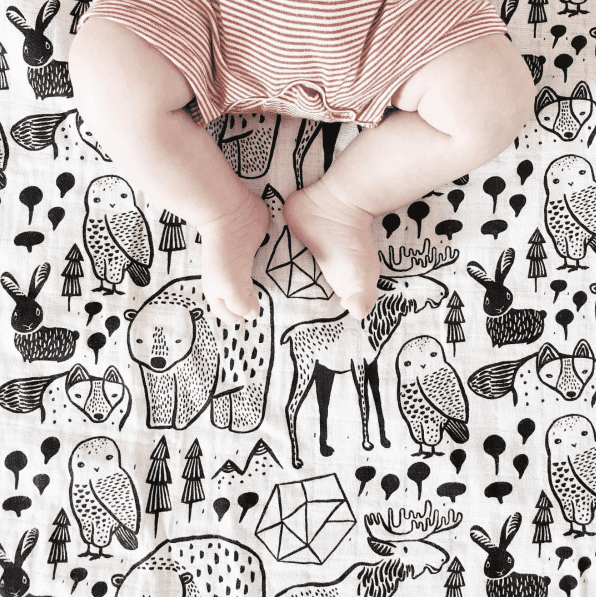 Organic Muslin Swaddle | Nordic by Wee Gallery