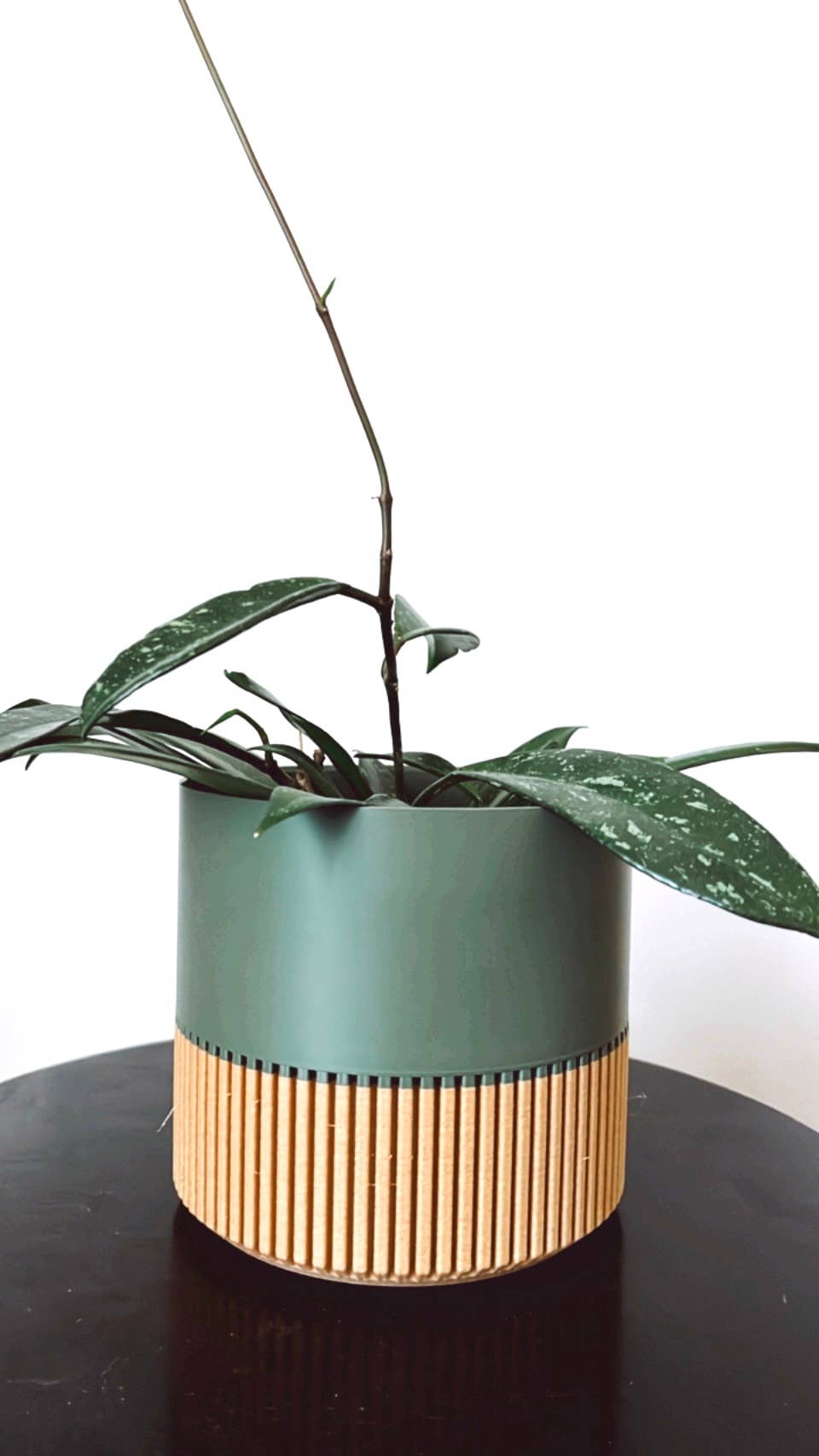 Modern Slat Planter | Medium by Prairie City Printing Co.