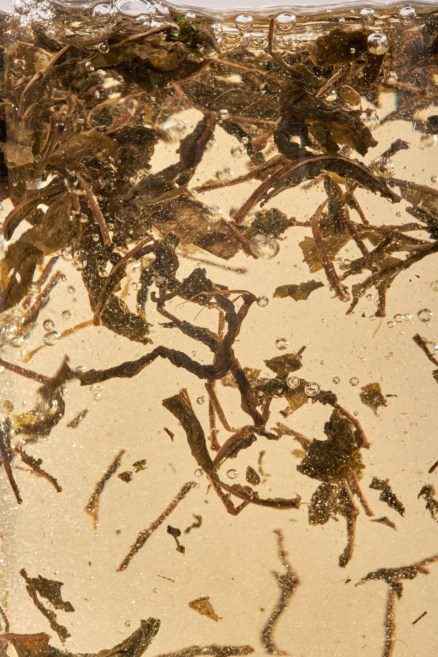 Close-up of fireweed tea on a beige background