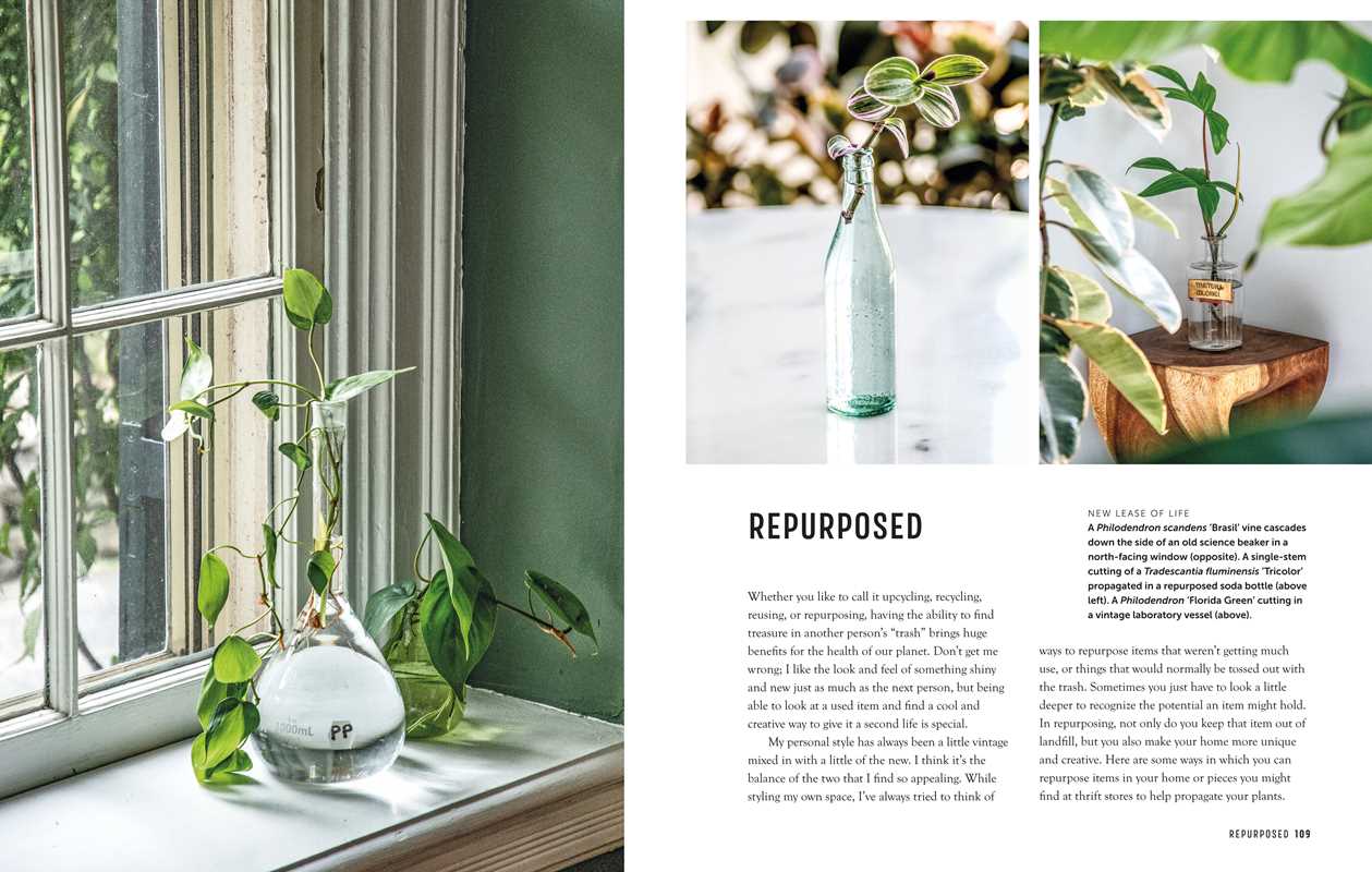 Propagation Handbook by Hilton Carter