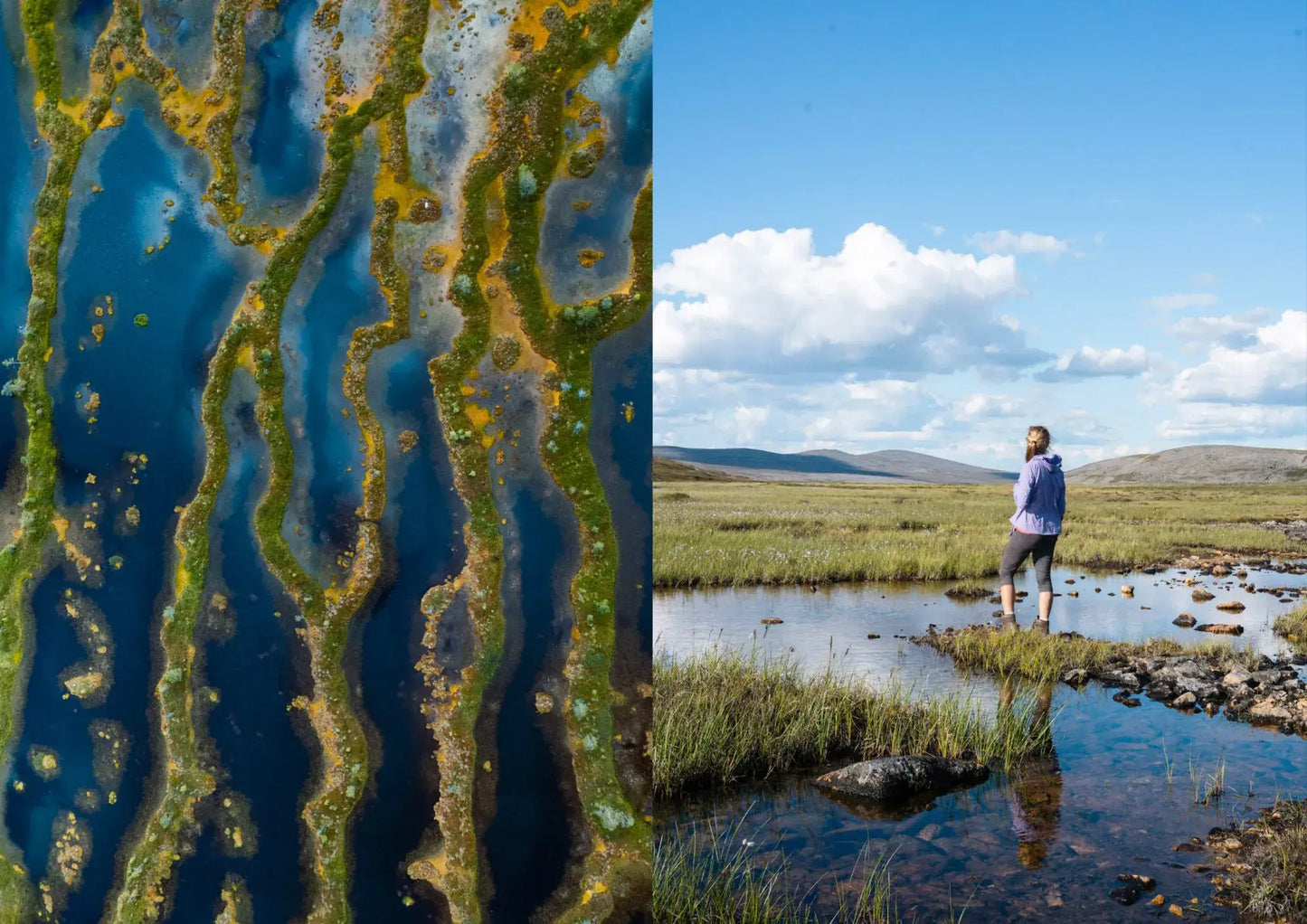 Food In The Woods- Recipes for Day Hikes and Wilderness Treks