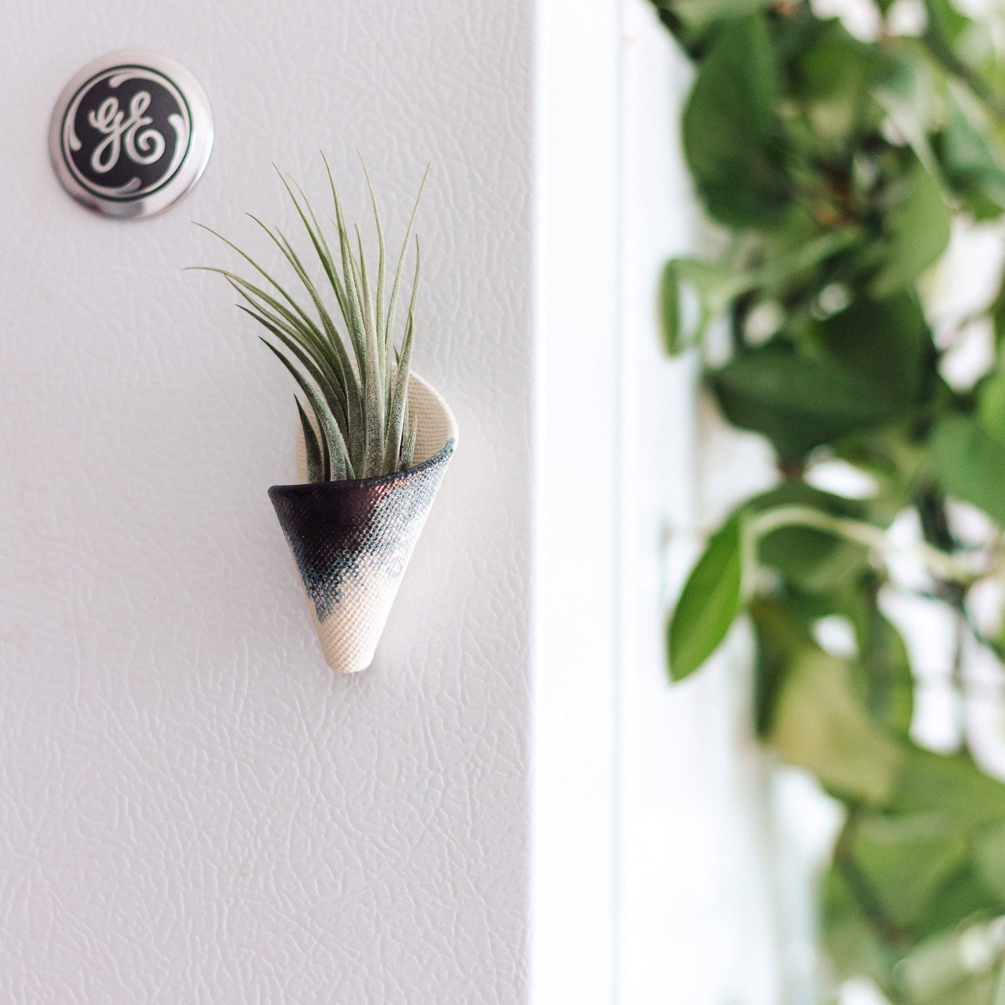 Tiny Ceramic Magnet Planter by Carter & Rose