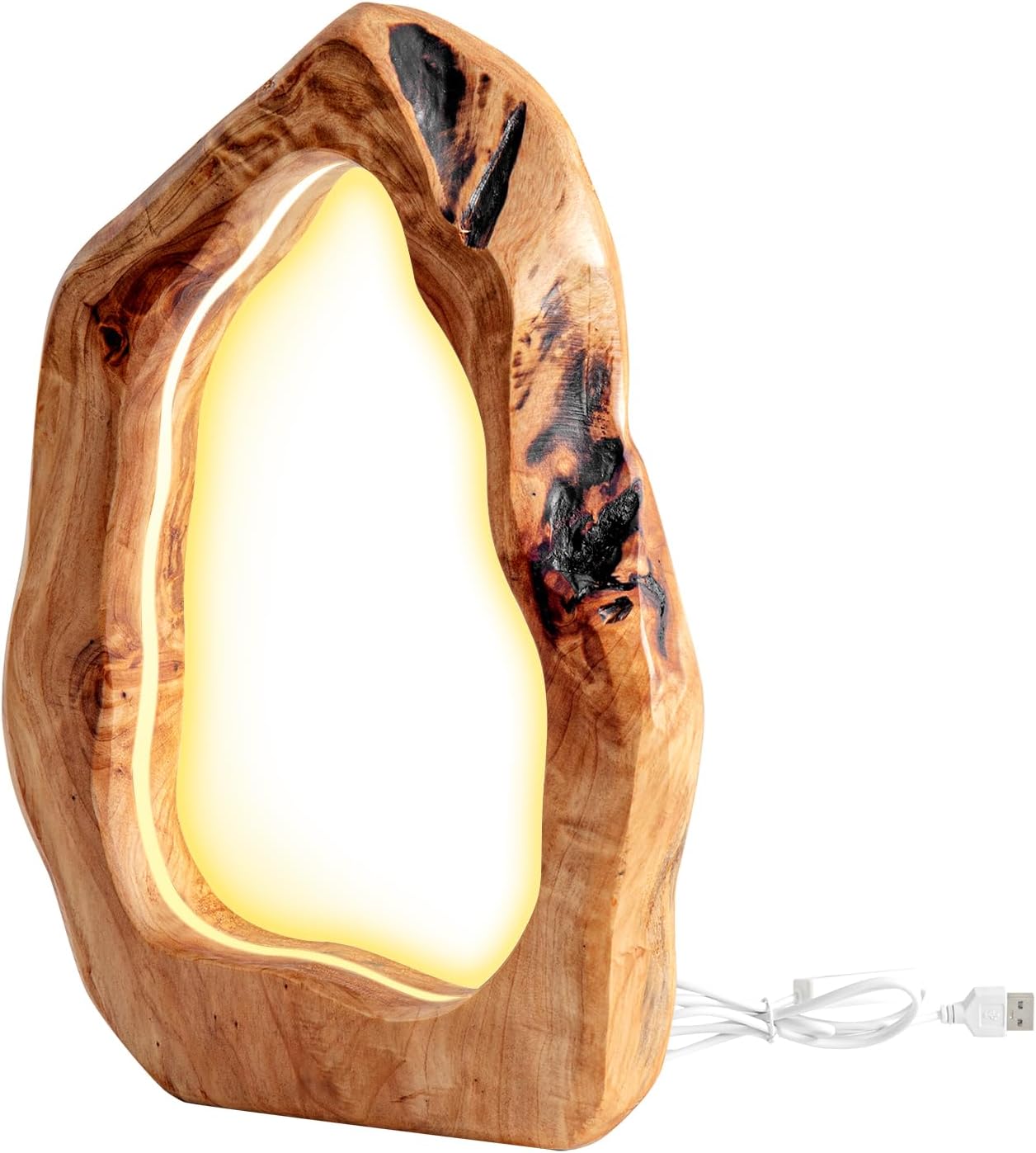 Tree Ring Dimmable Desk Lamp by Moderny