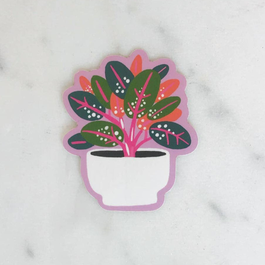 Rubber Plant Sticker by Idlewild Co.