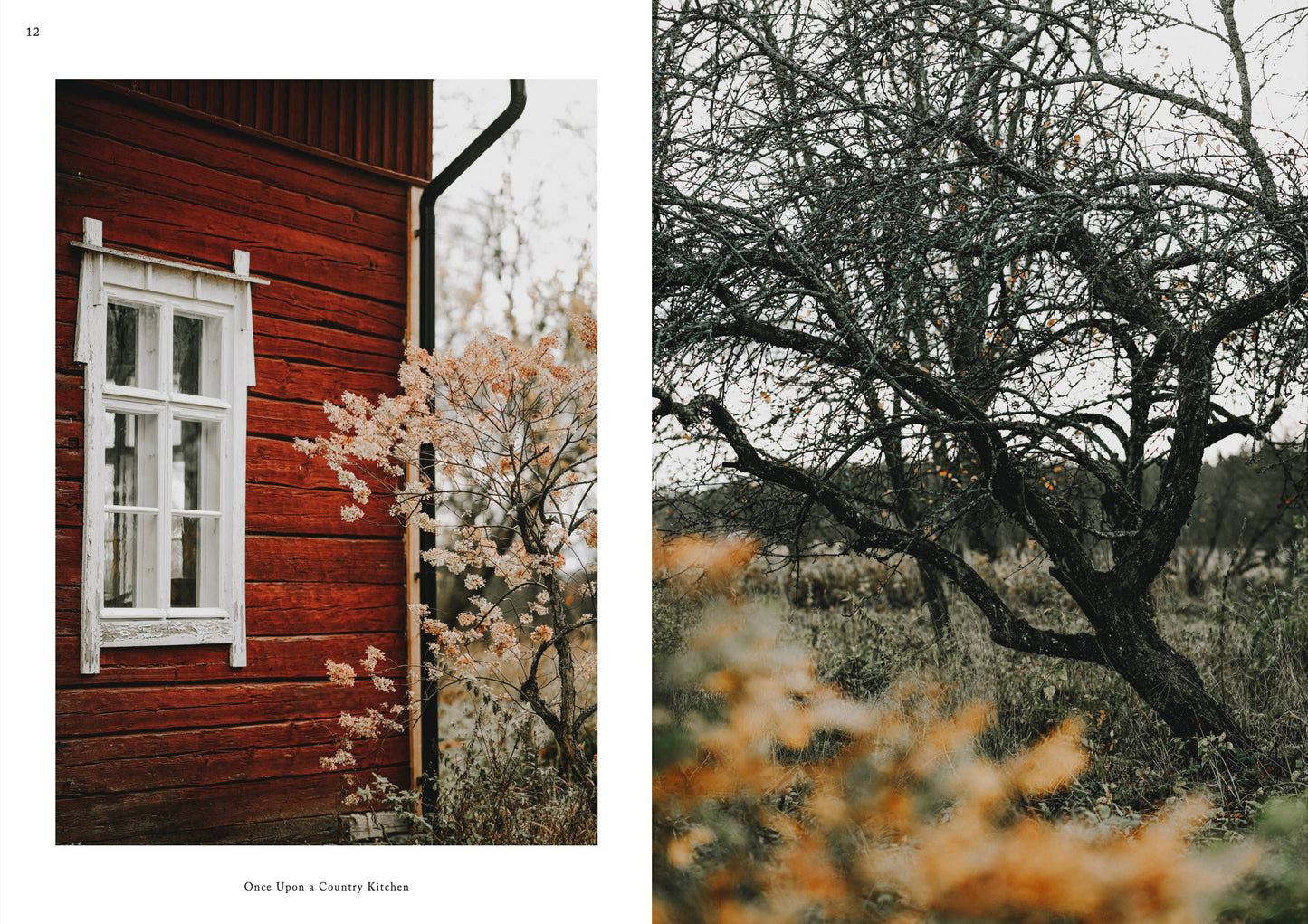 Once Upon a Country Kitchen: Culinary Tales and Recipes