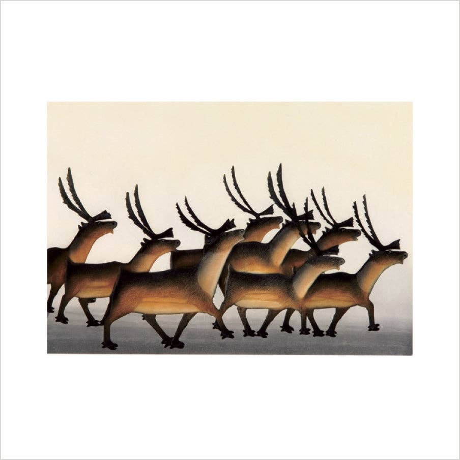 Arctic Animals from Kinngait Memory Game by Pomegranate