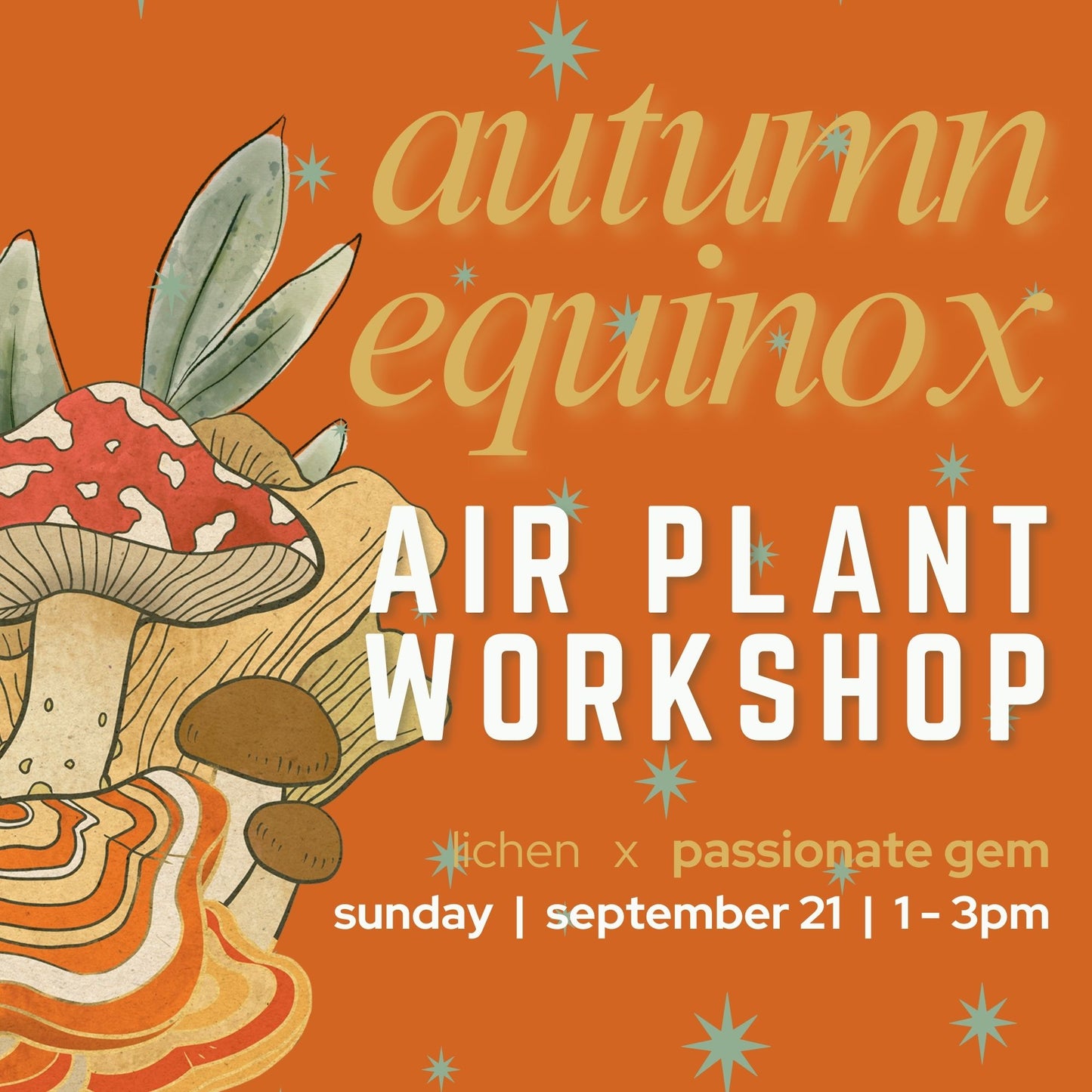 ADMISSION Autumn Equinox | Sunday | Air Plant Workshop with Passionate Gem