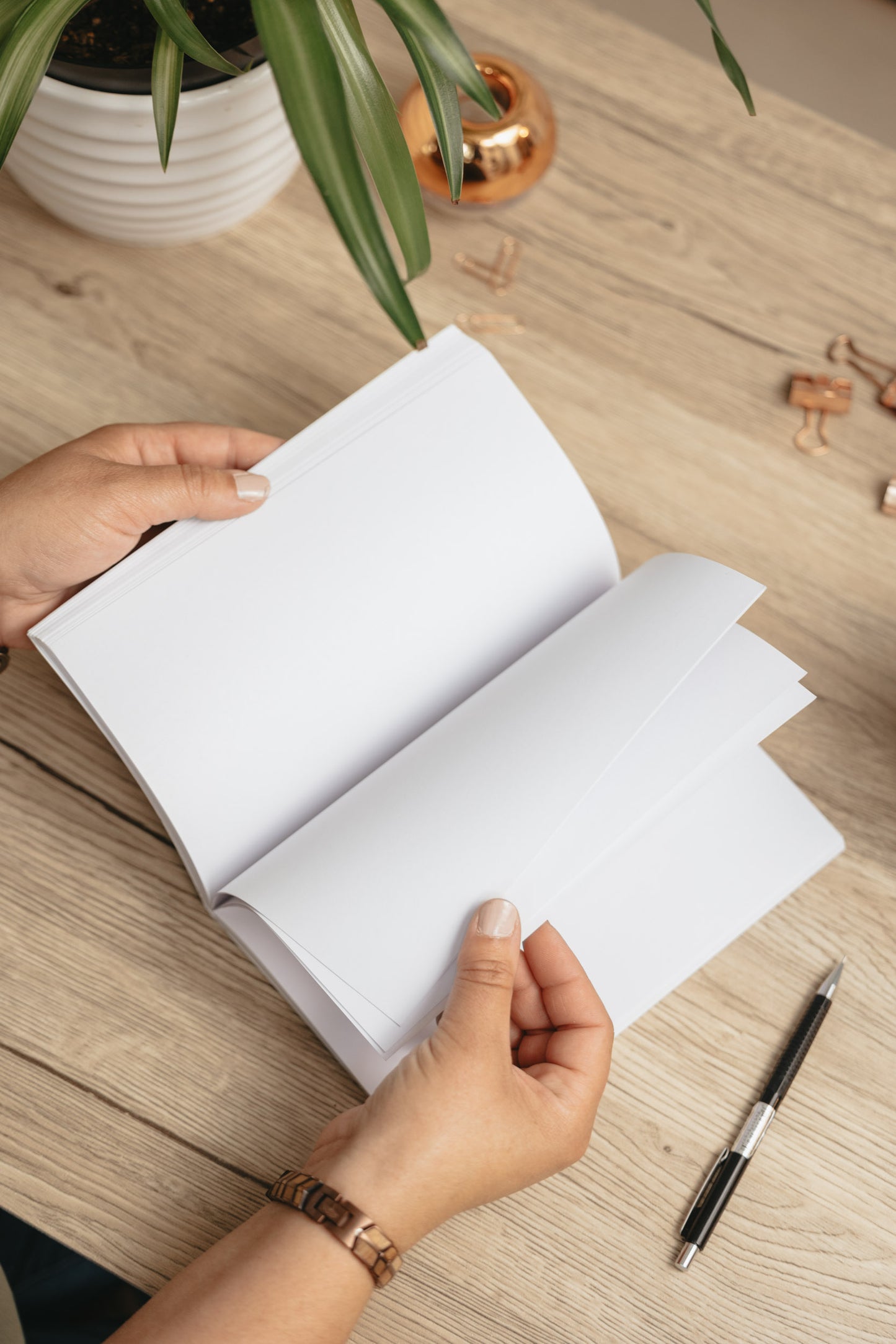 Fireweed Sketchbook by Brianna Reagan Art