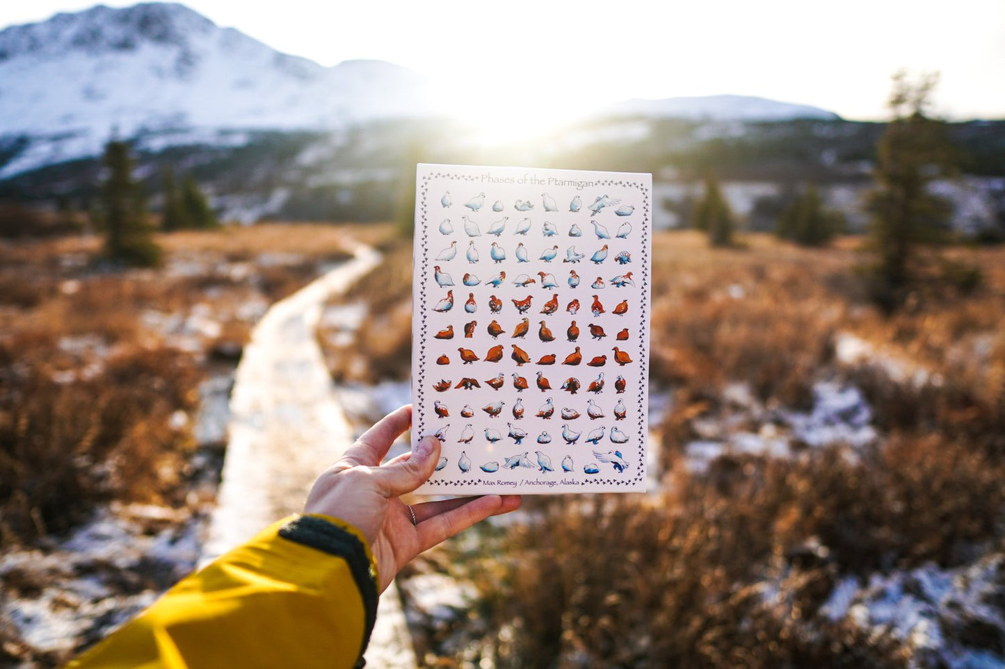 Phases of the Ptarmigan Puzzle by Max Romey