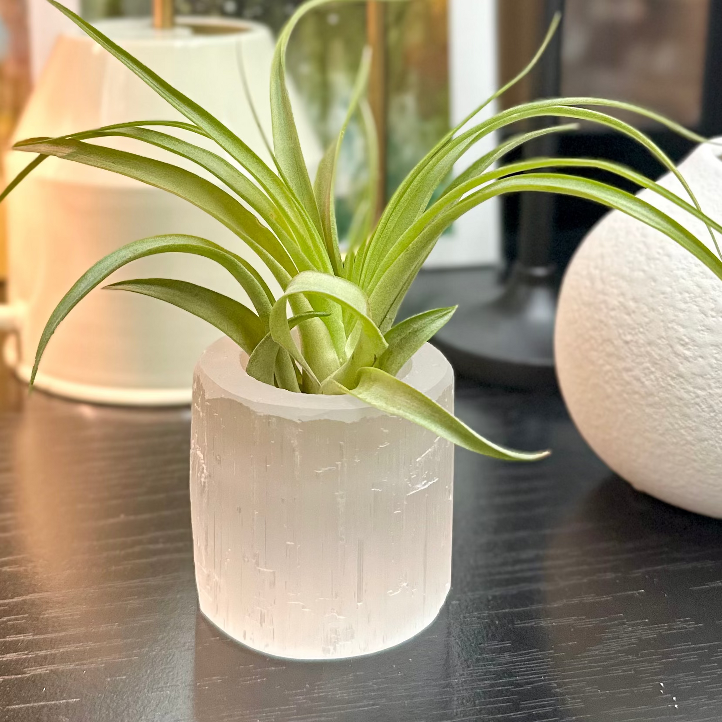 Selenite Air Plant Holder #420 by Passionate Gem