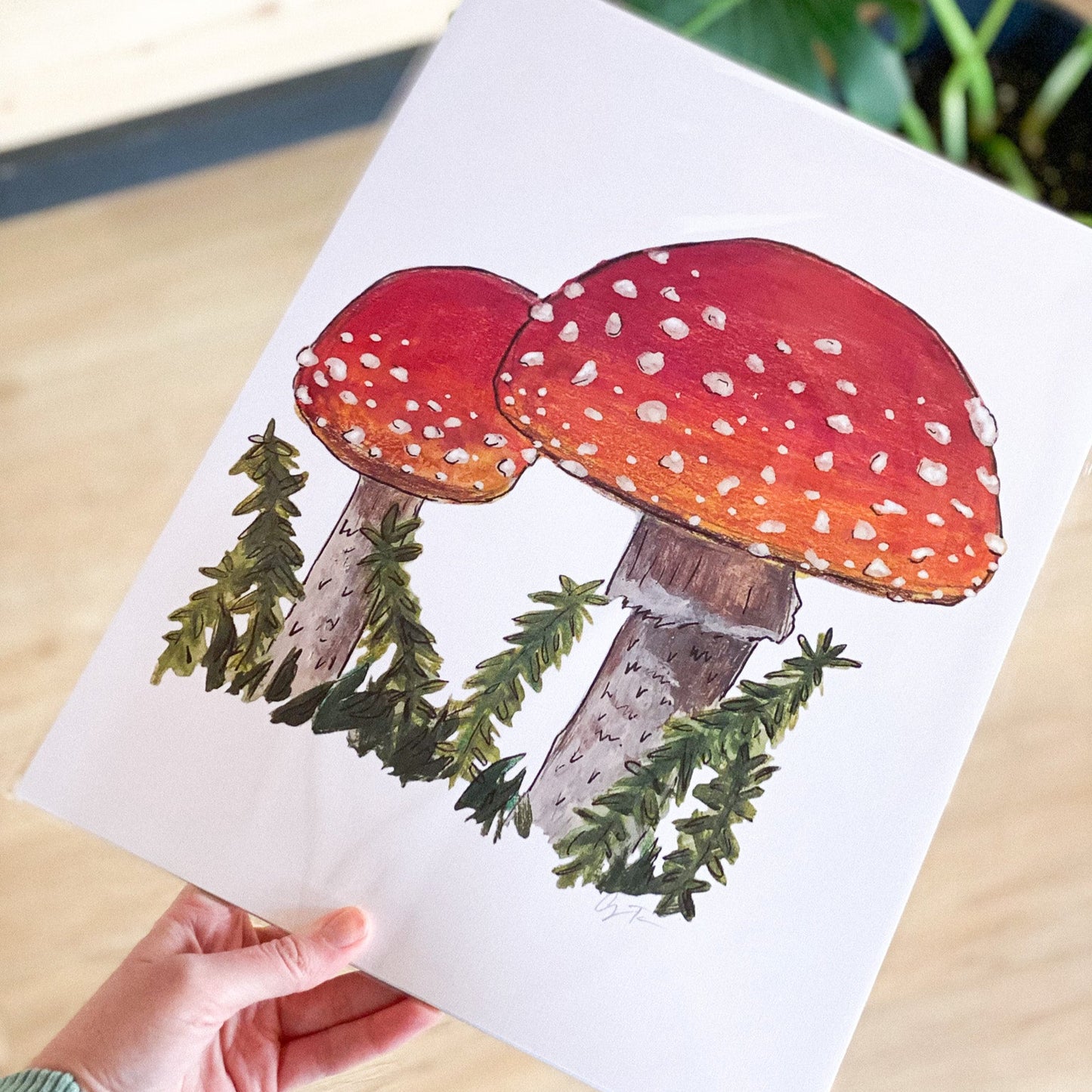 2 Amanitas 8x10 Print by Anya Toelle