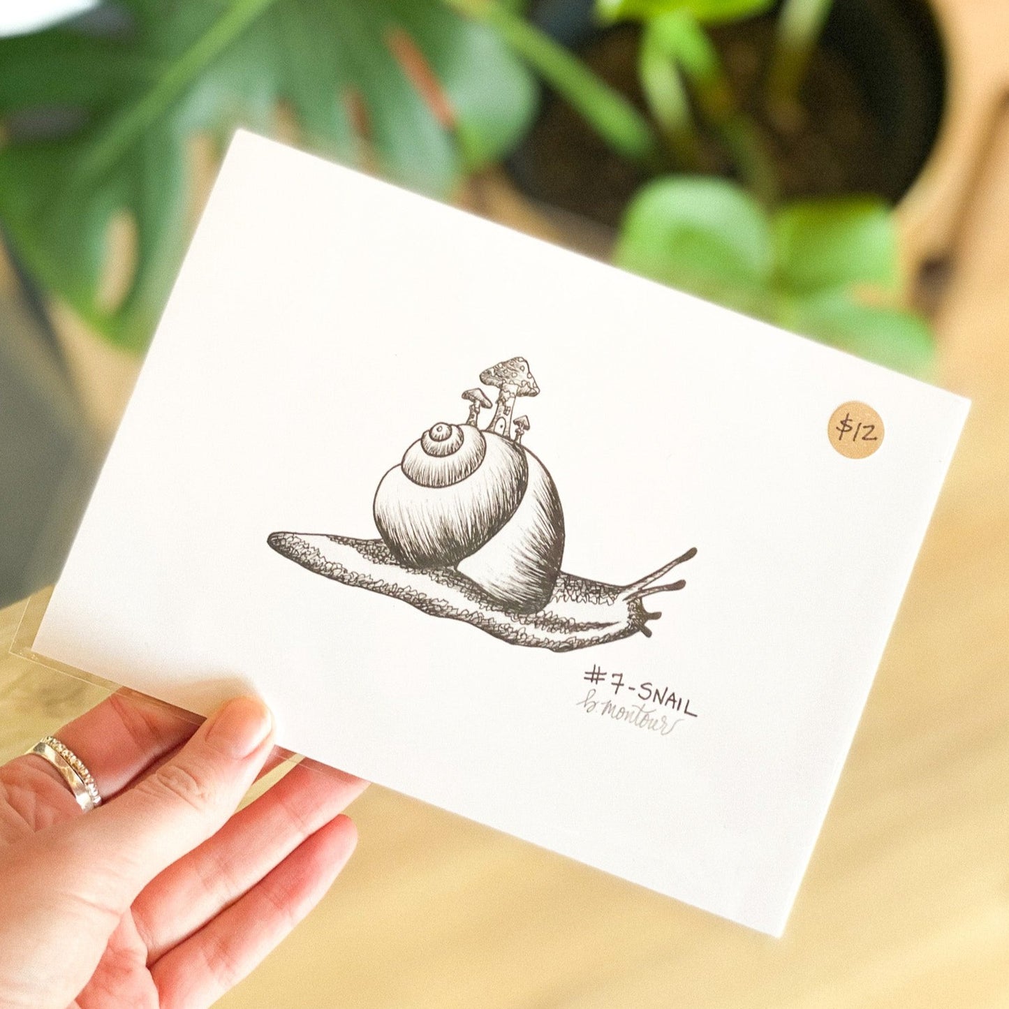 Snail Periwinkle Shroom 5x7 Print by Brittany Montour