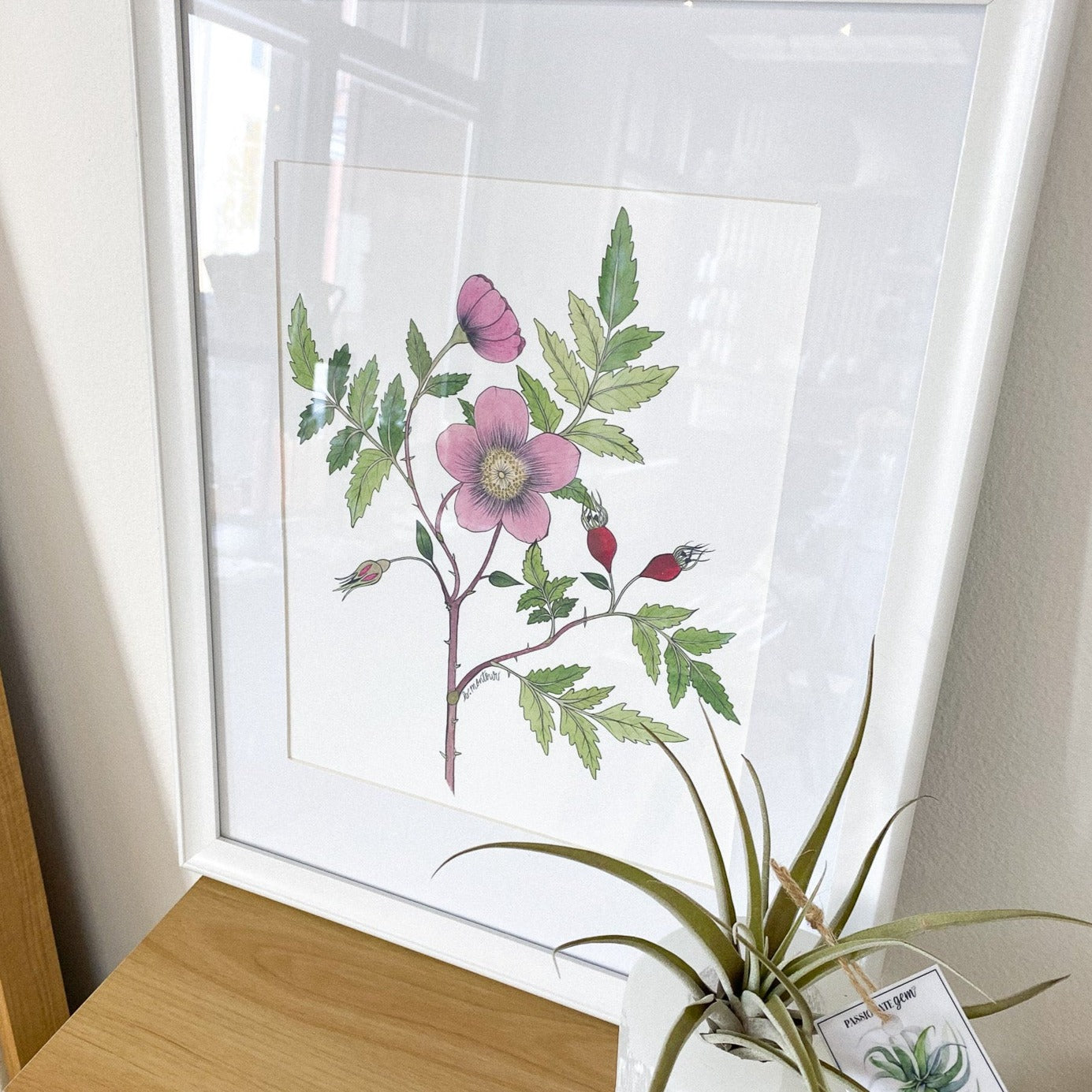 Arctic Rose Framed 8x10 Print by Brittany Montour