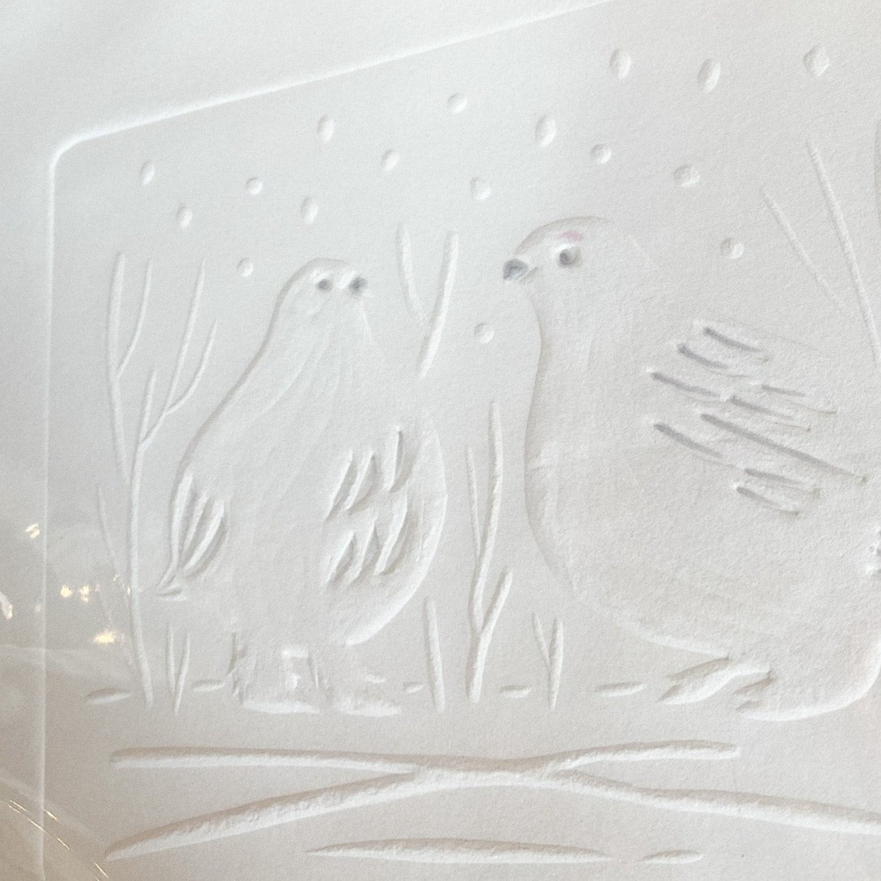 Winter Ptarmigan 8x10 Print by Arisa Sasaki