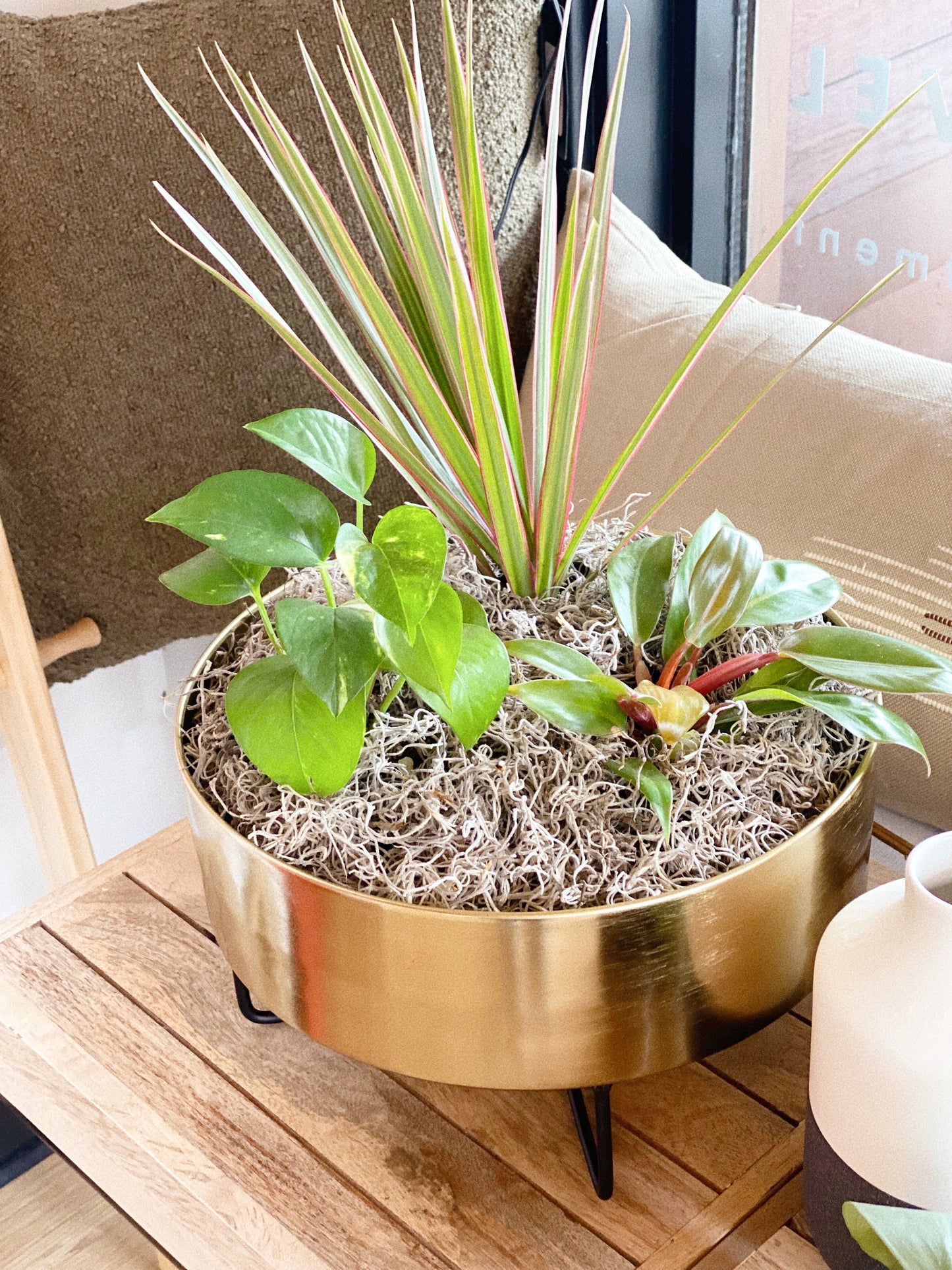 3 Plant Bundle w/ Moss + Gold Planter by Passionate Gem
