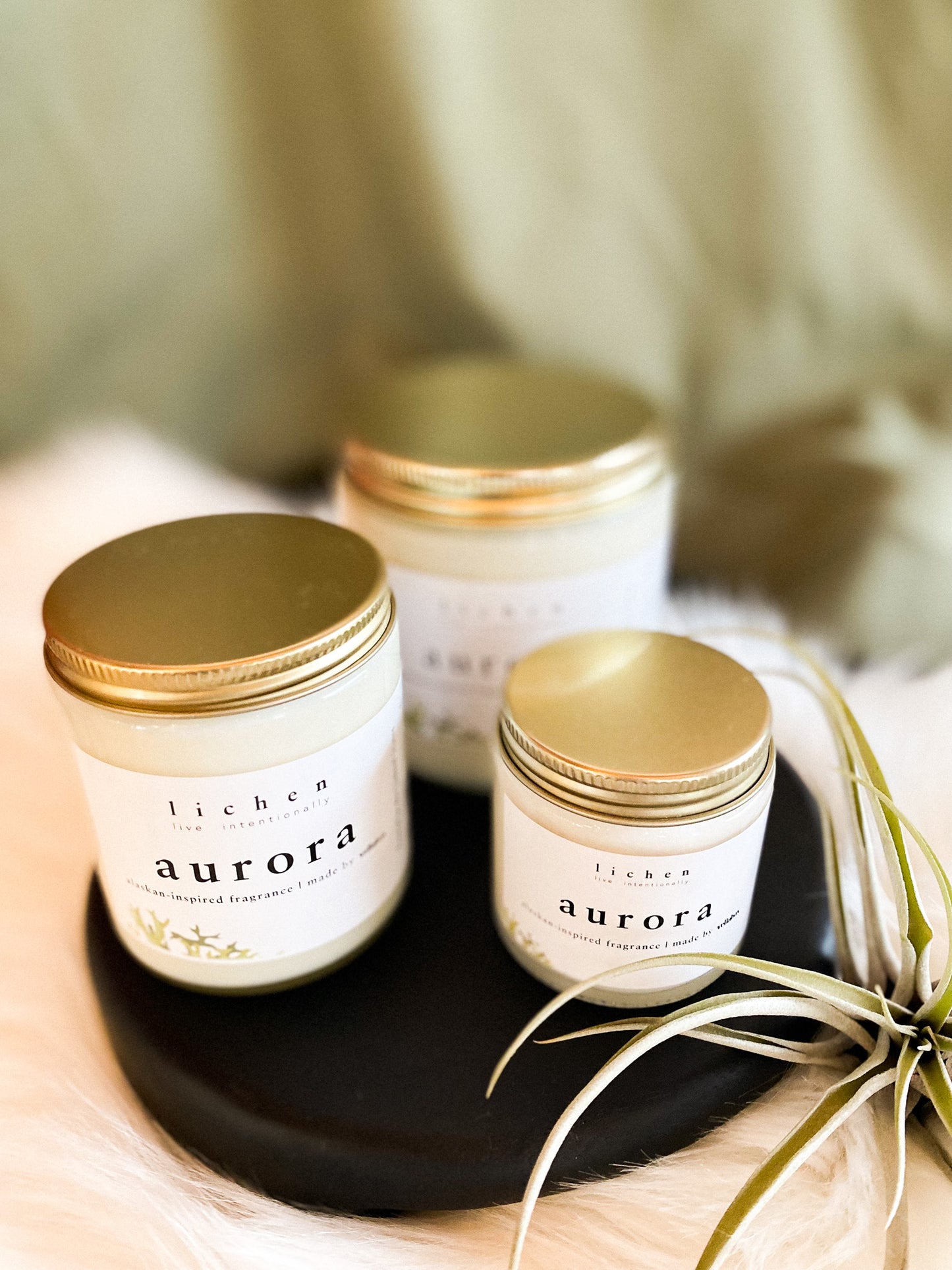 Aurora Soy Wax Candle by Lichen x Vellabox