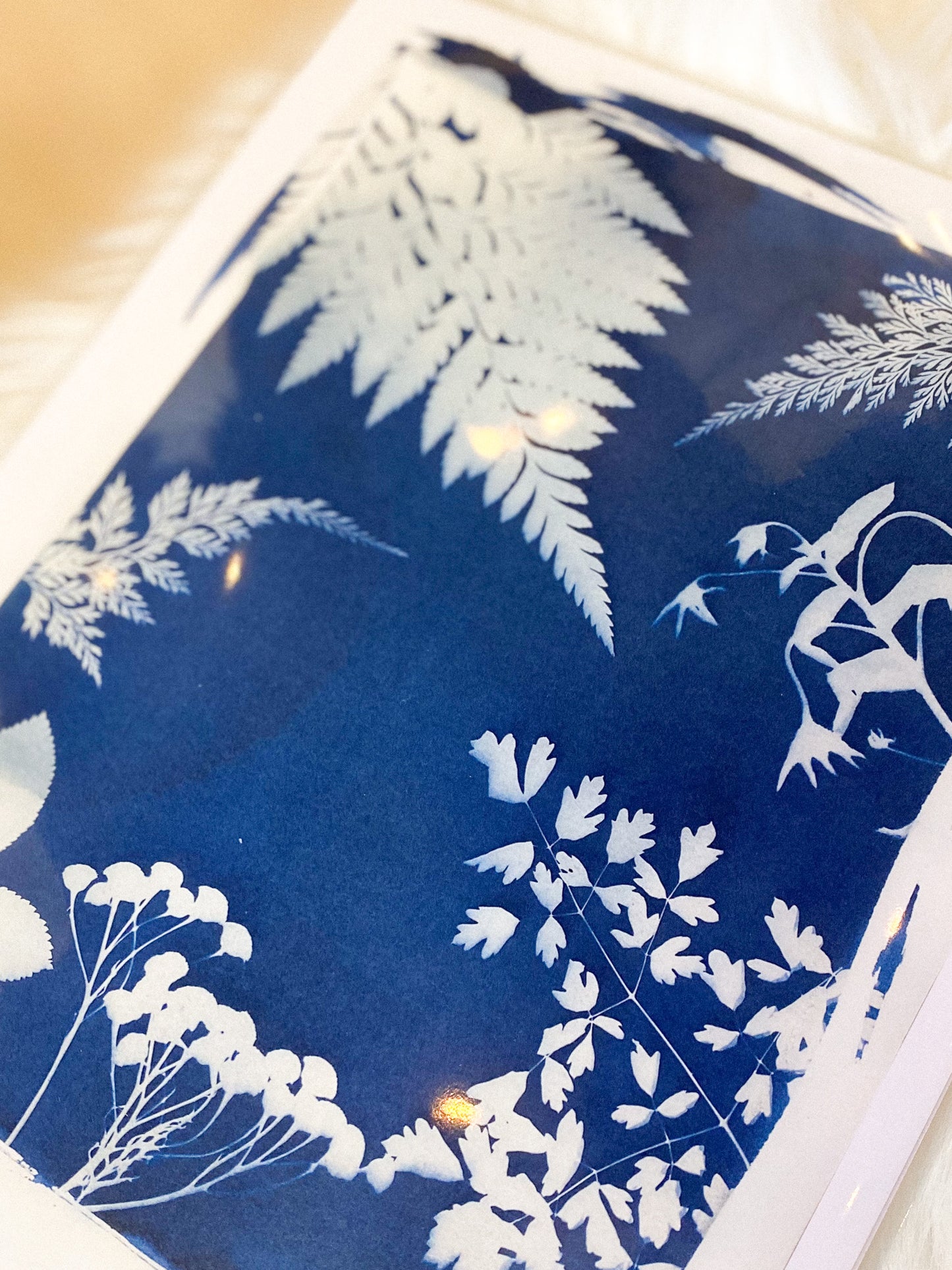 Cyanotype 8x10 Print by AK Sunprints