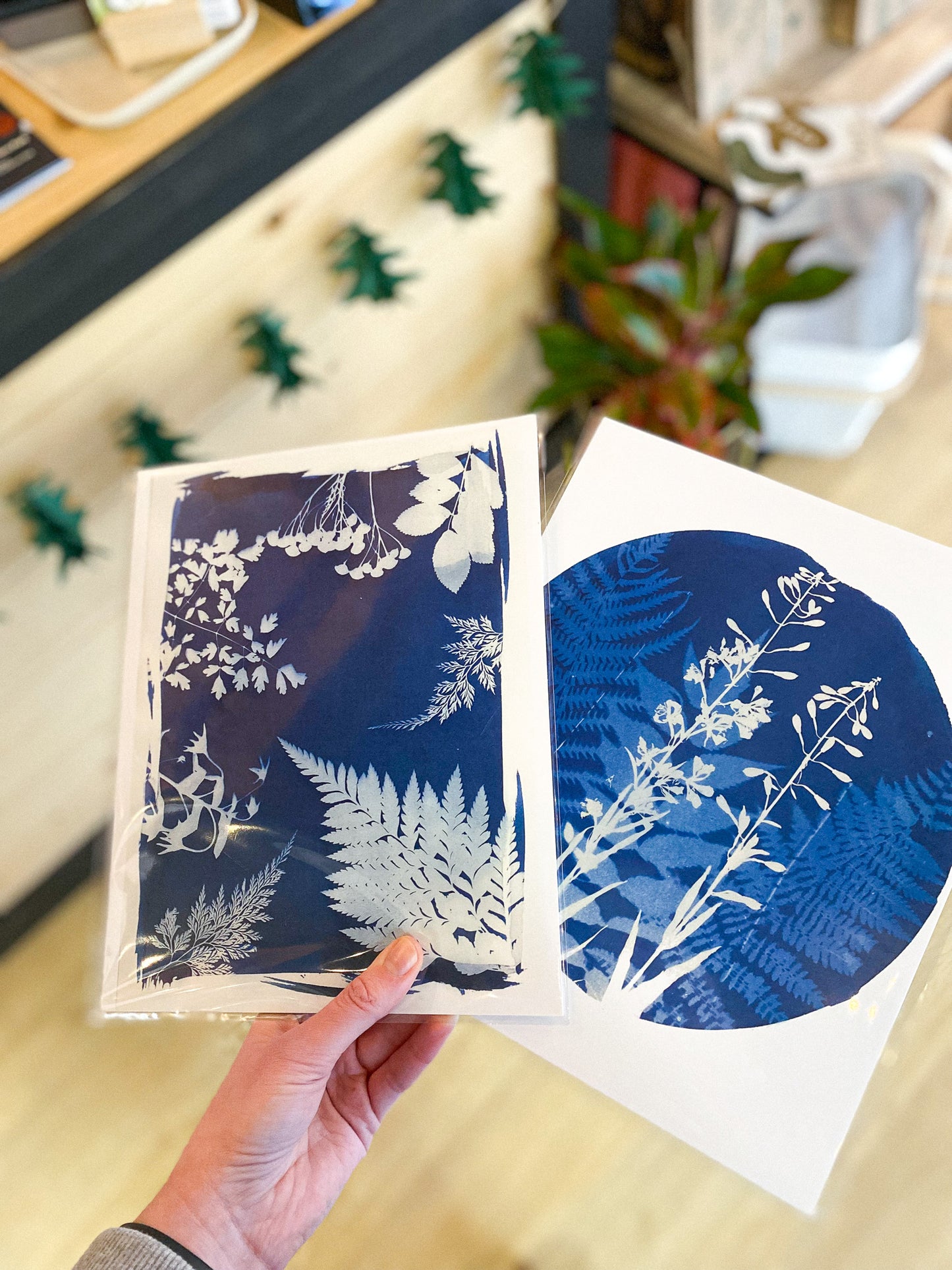 Cyanotype 8x10 Print by AK Sunprints