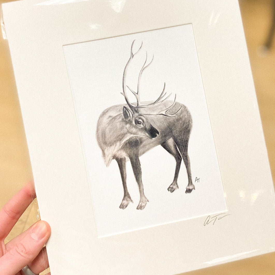 Reindeer Sketch 5x7 print (matted to 8x10) by Anya Toelle