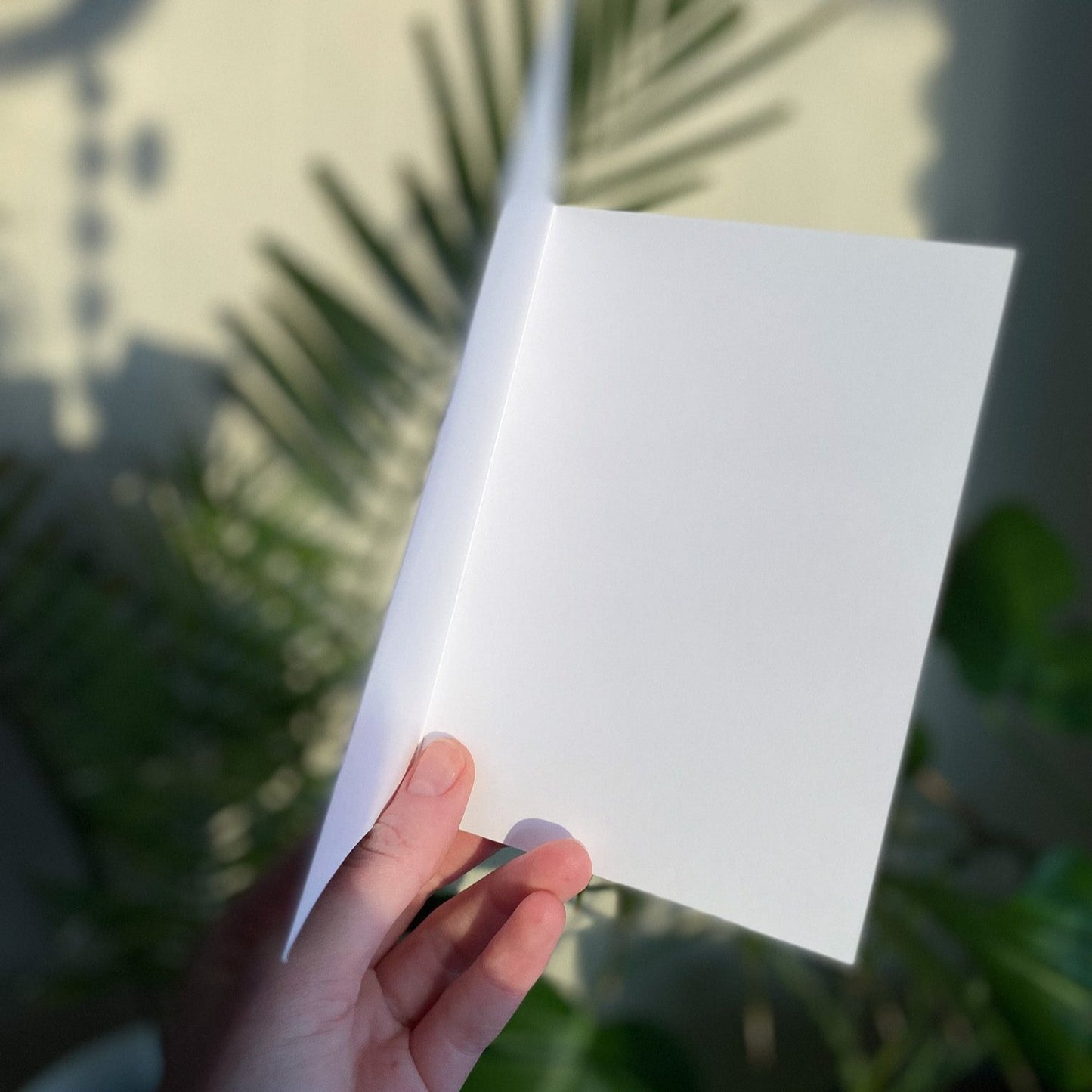 Interior Card by Anya Toelle