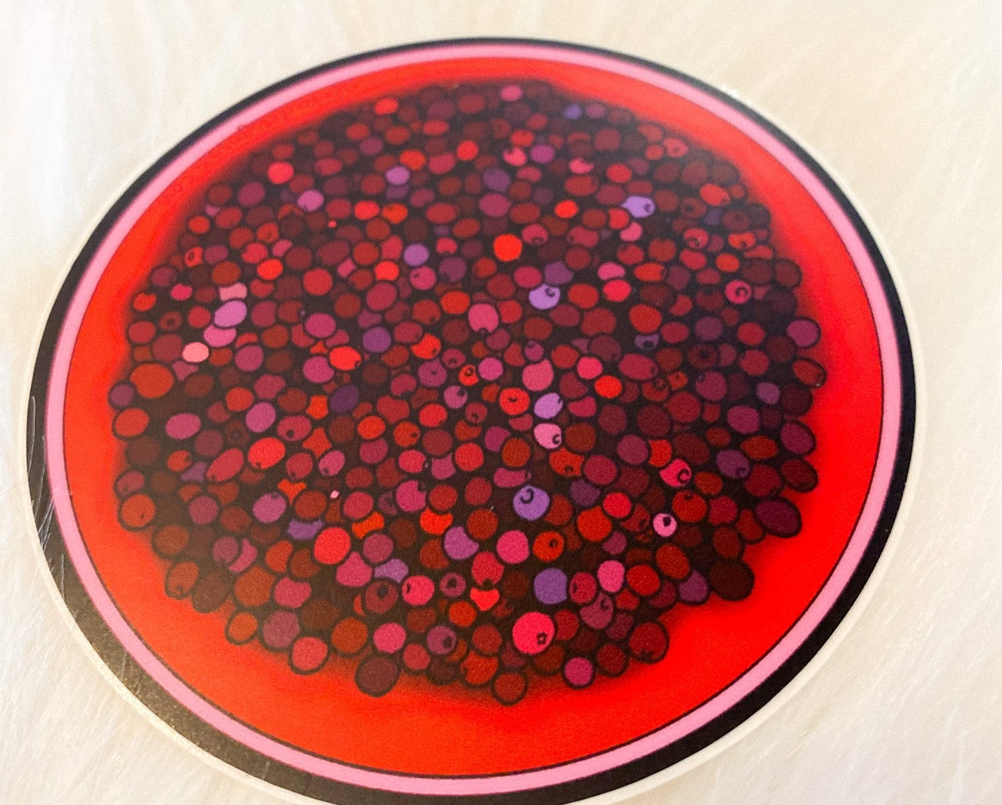 Cranberry Bucket Sticker by Nerka Designs