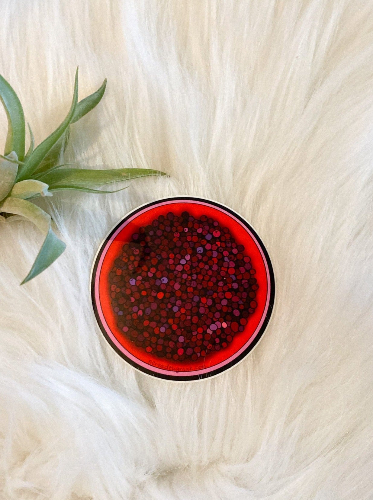 Cranberry Bucket Sticker by Nerka Designs