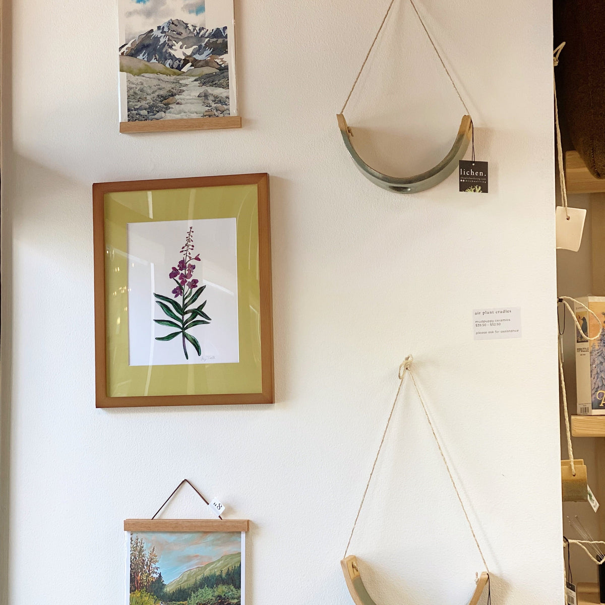 Fireweed 8x10 Framed Print by Anya Toelle