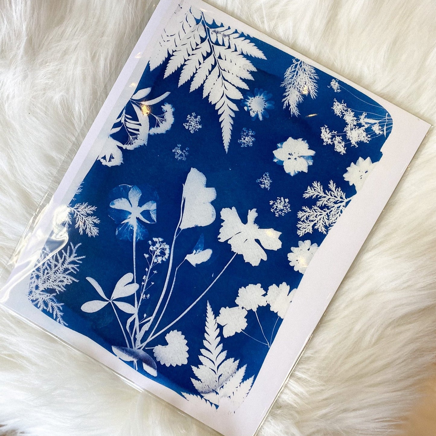 Floral, Cyanotype Print by AK Sunprints