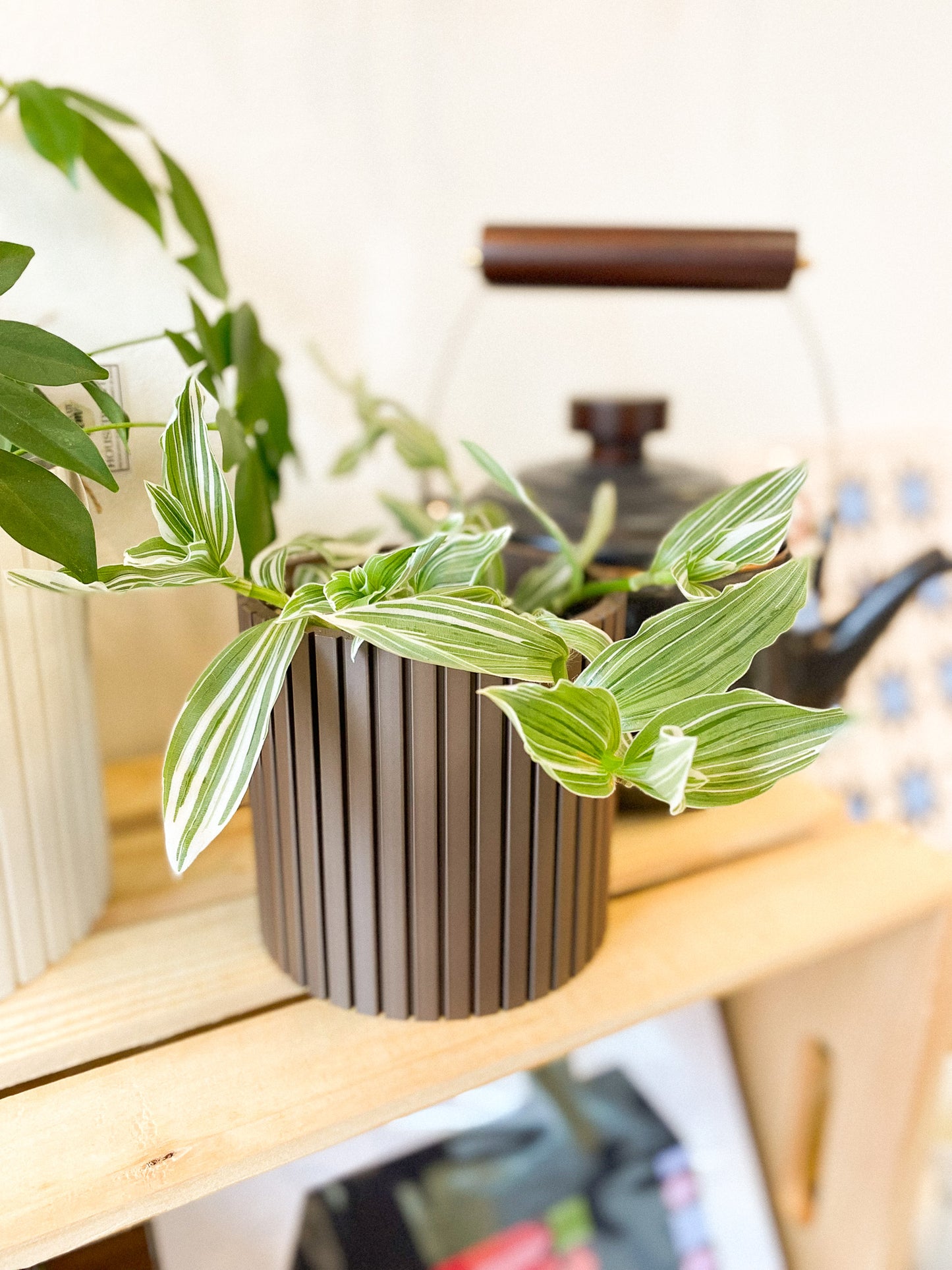 Wandering Dude Plant #348 by Passionate Gem