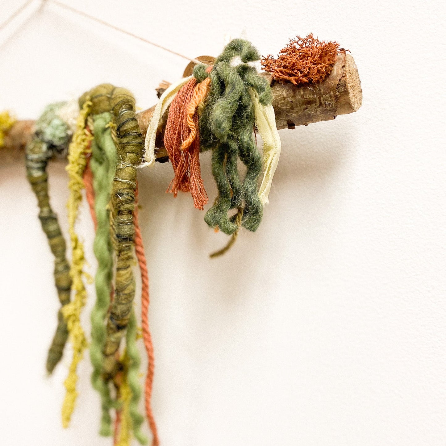 Colorful yarn strands hanging from a branch on a white background