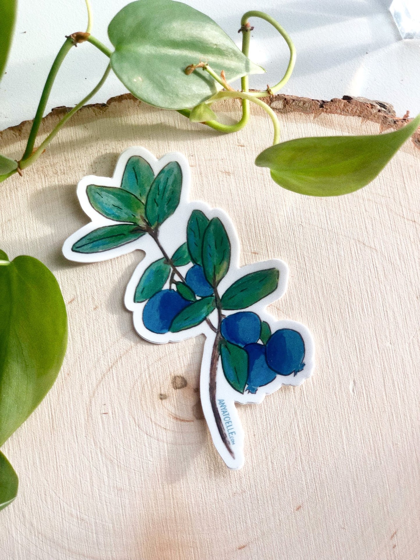 Blueberry Sticker by Anya Toelle