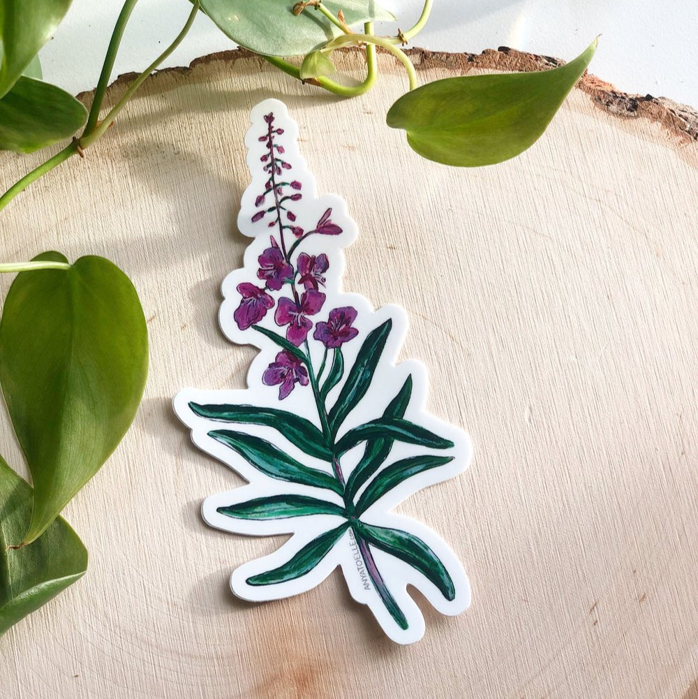 Fireweed Sticker by Anya Toelle
