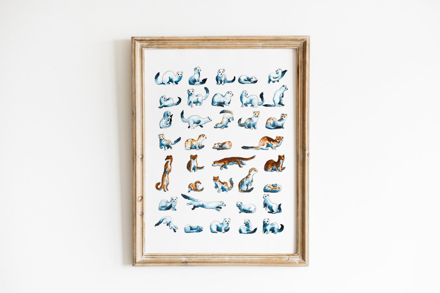 Phases of the Ermine 11x14 Print by Max Romey