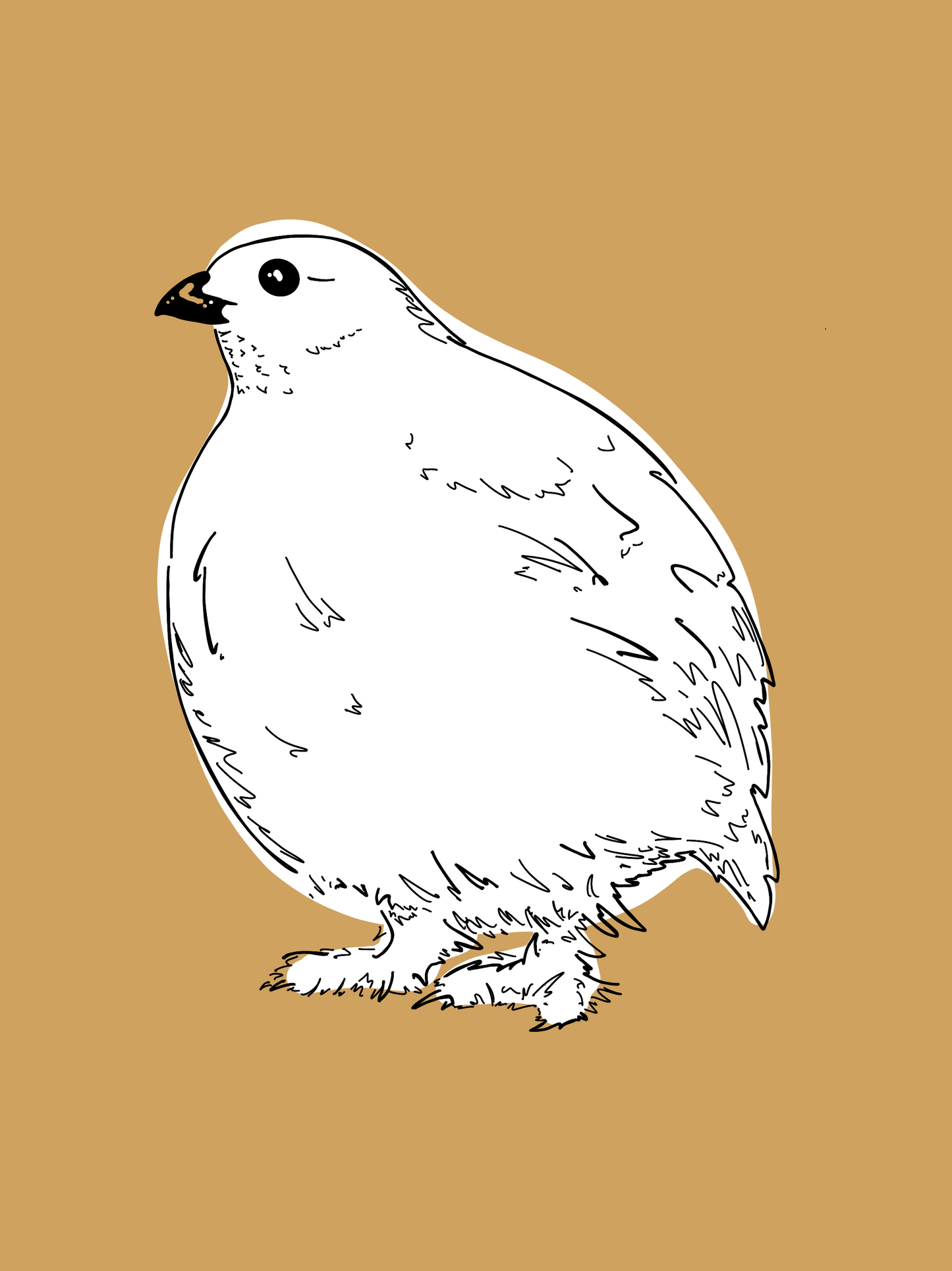 Little Ptarmigan Card by Printworthy