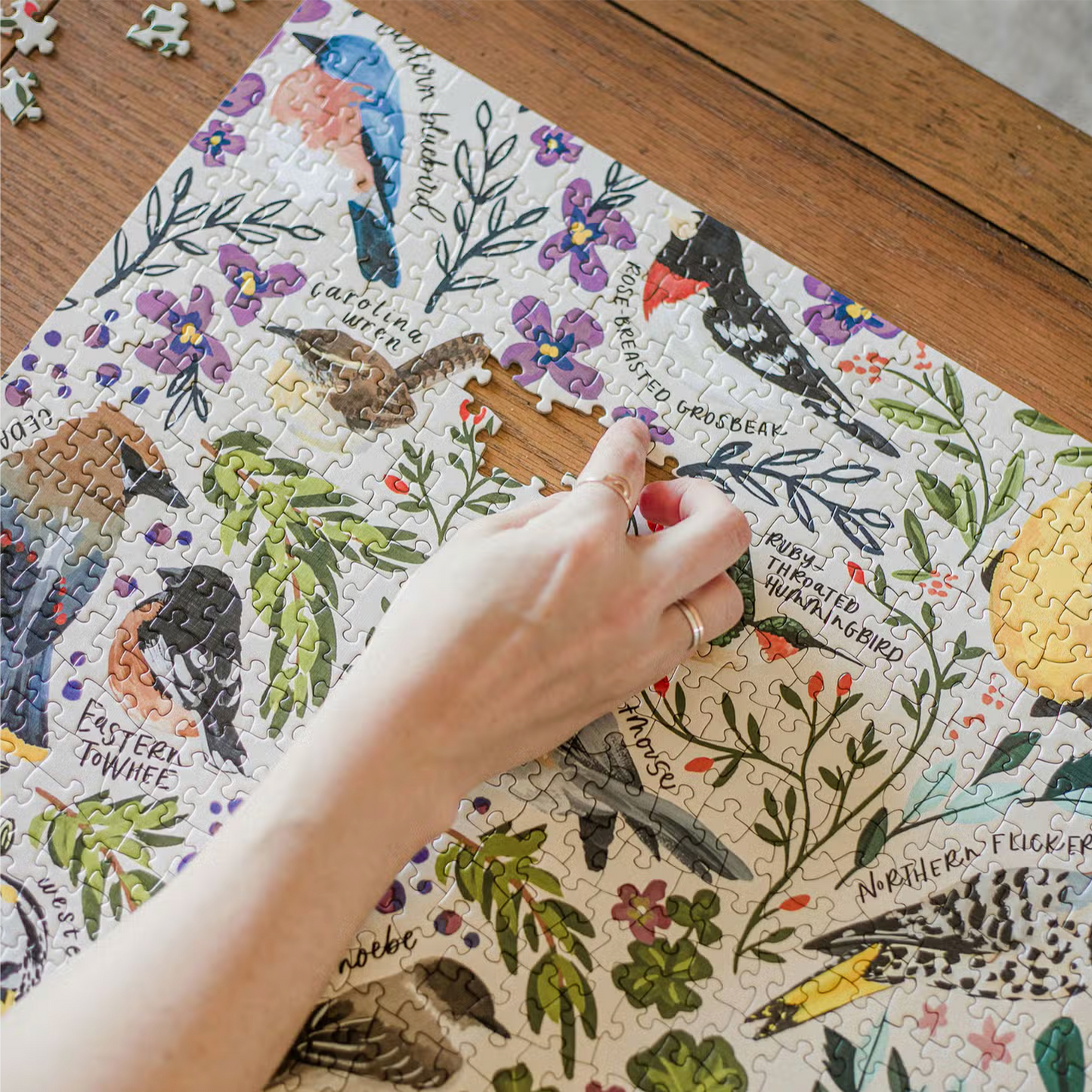 Feathered Friends - 1,000 Piece Bird Jigsaw Puzzle