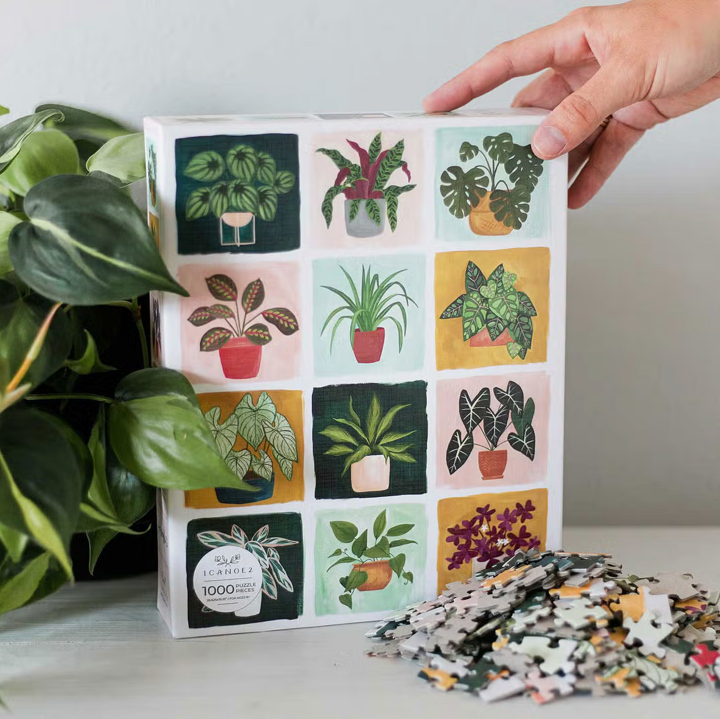 Houseplants Jigsaw Puzzle | 1,000 Pieces