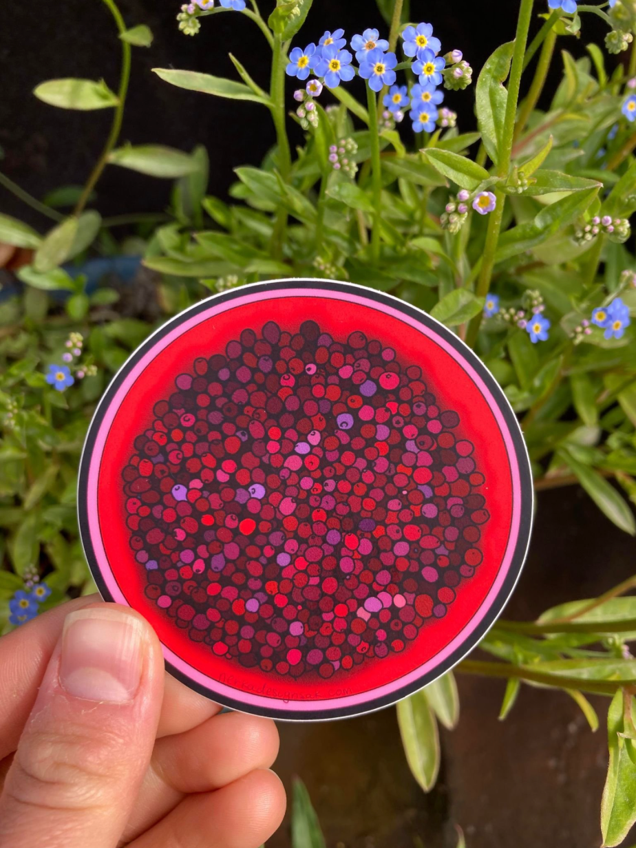 Cranberry Bucket Sticker by Nerka Designs