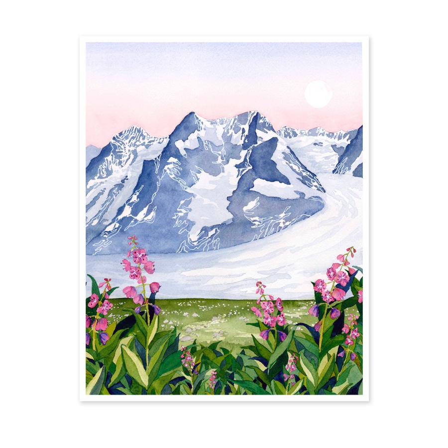 Land of Ice + Fireweed 8x10 Print by Jill Richie