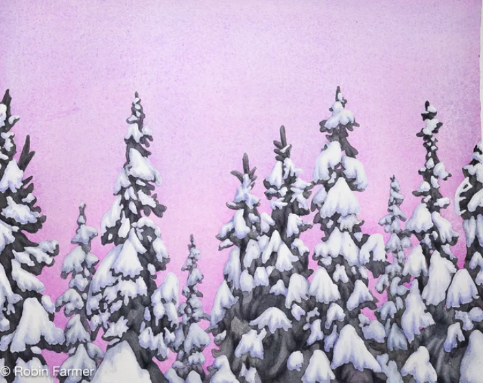 Winter Spruce 8x10 Print by Robin Farmer