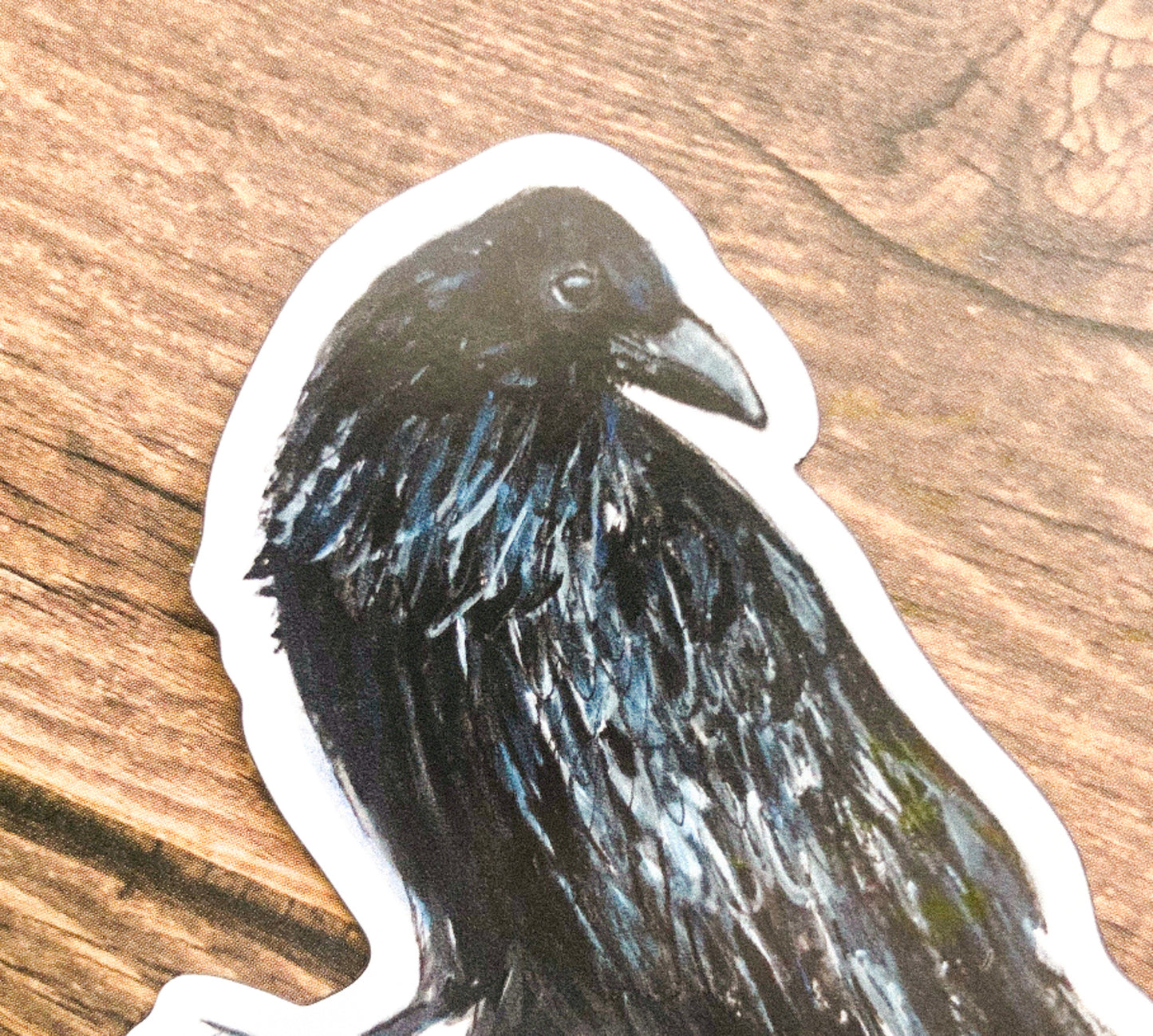 Magnet of a black Raven bird on a wooden surface