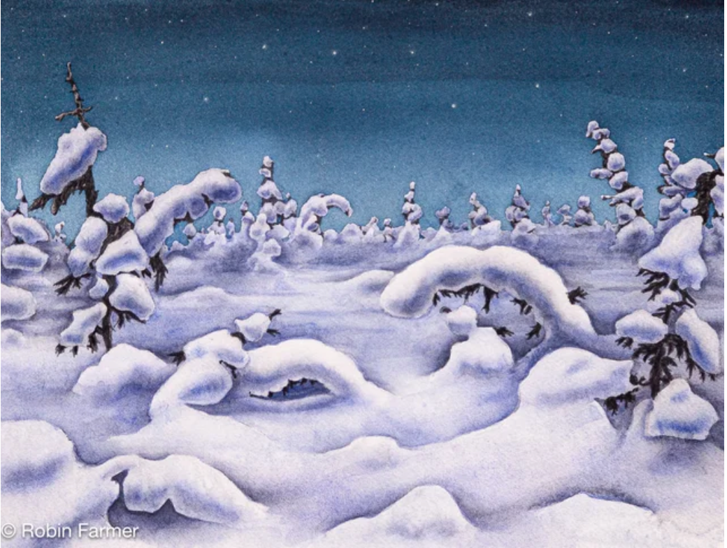 Field of Blue 5x7 Print by Robin Farmer