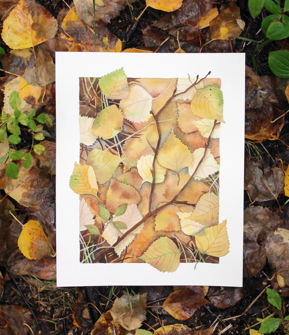 Forest Floor 8x10 Print by Jill Richie